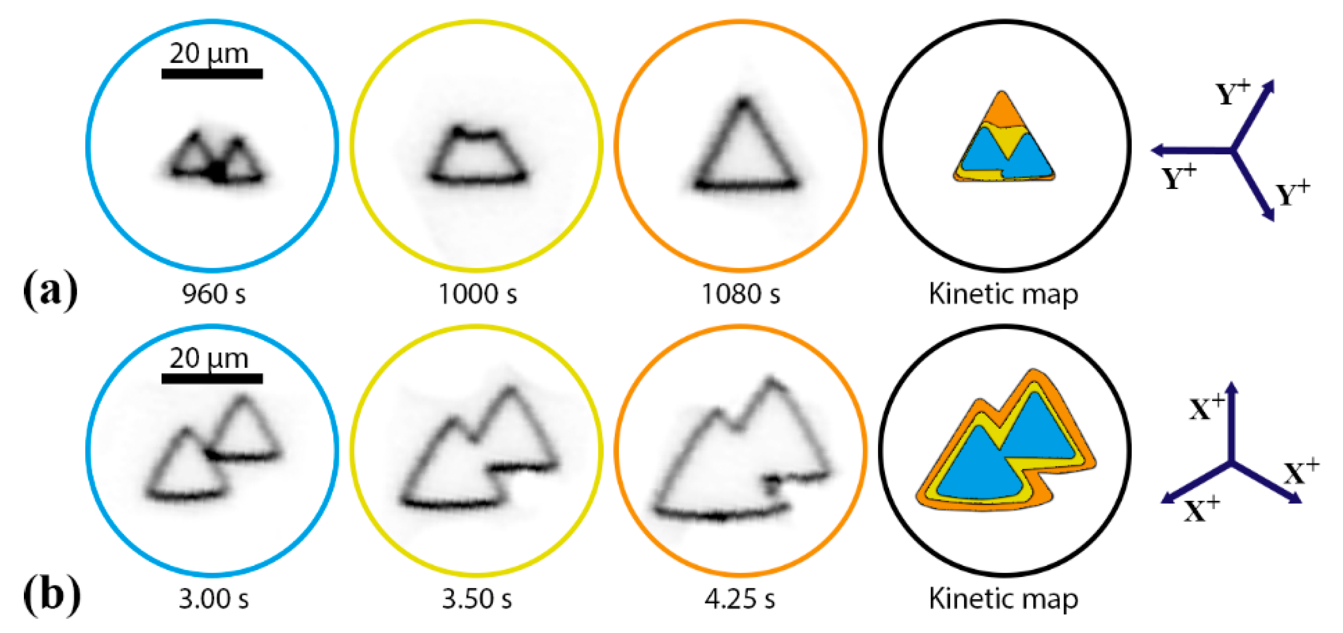 Crystals 10 00583 g006