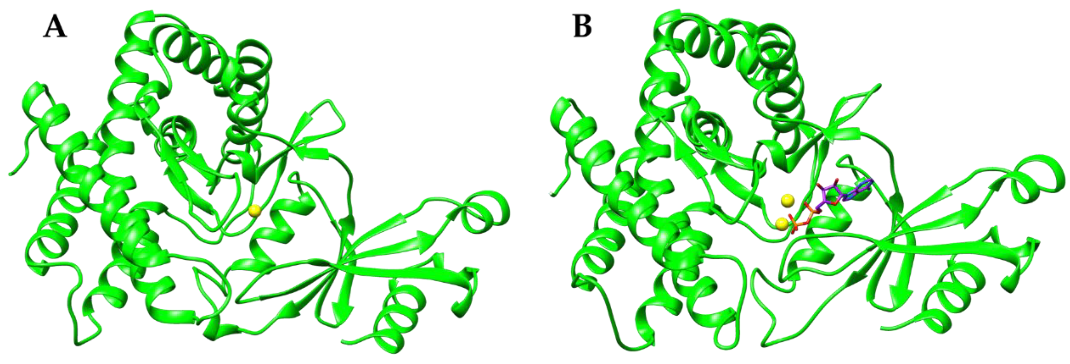 Crystals 10 00613 g002 Crystals 10 00613 g002