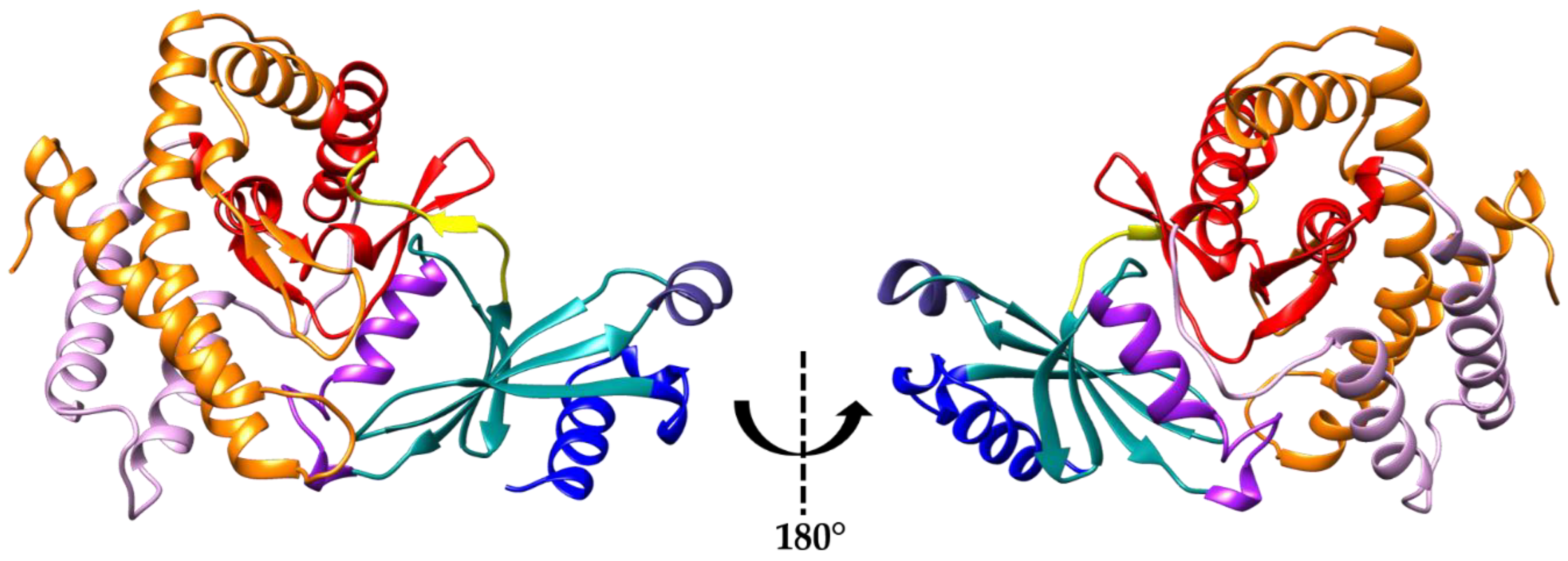 Crystals 10 00613 g003 Crystals 10 00613 g003