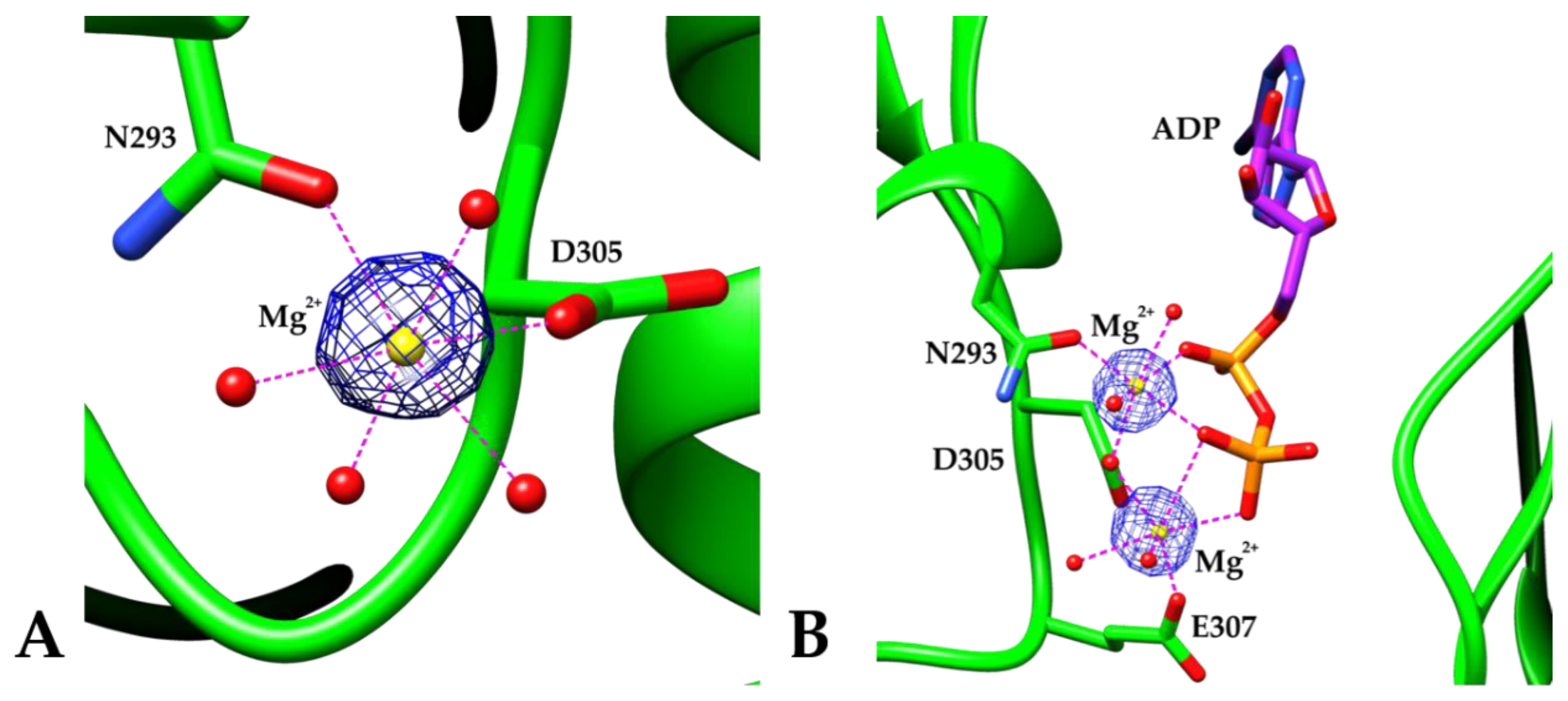Crystals 10 00613 g005 Crystals 10 00613 g005