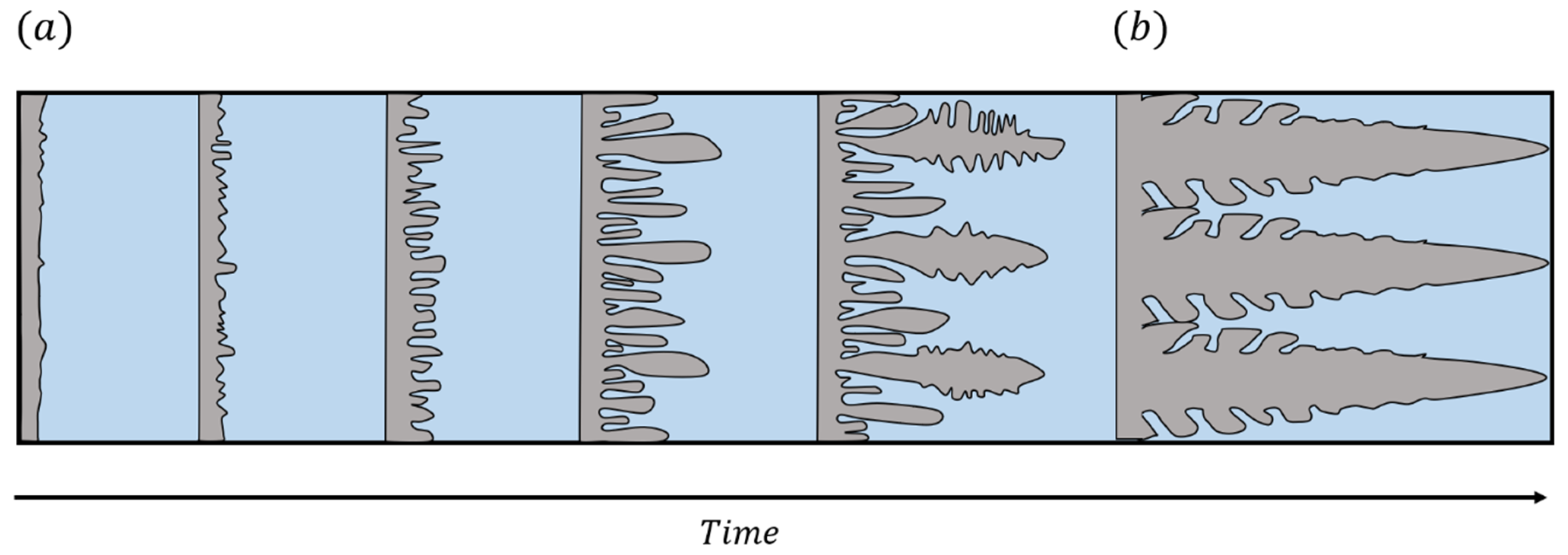 Dendritic growth in metals