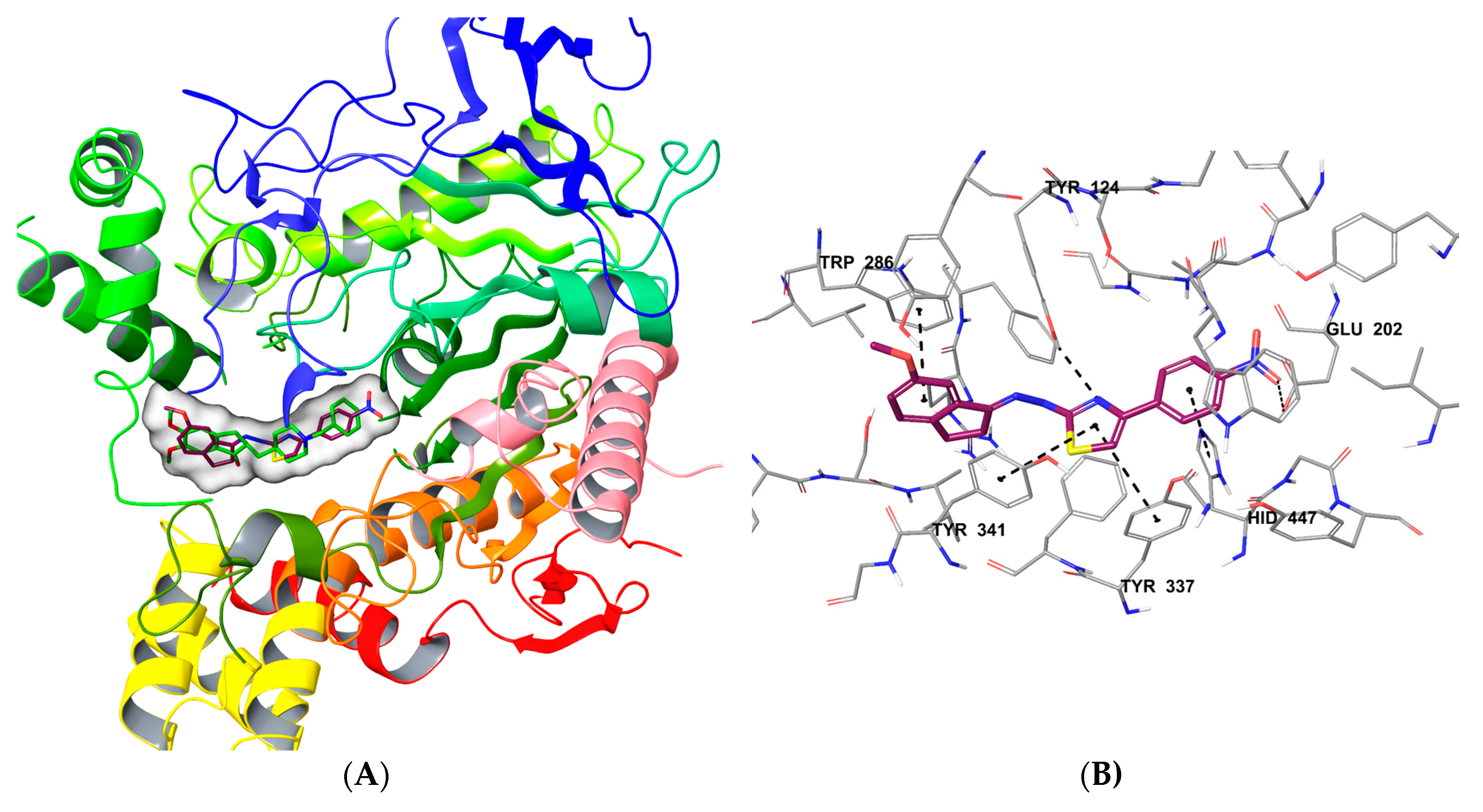 Crystals 10 00637 g005a Crystals 10 00637 g005a