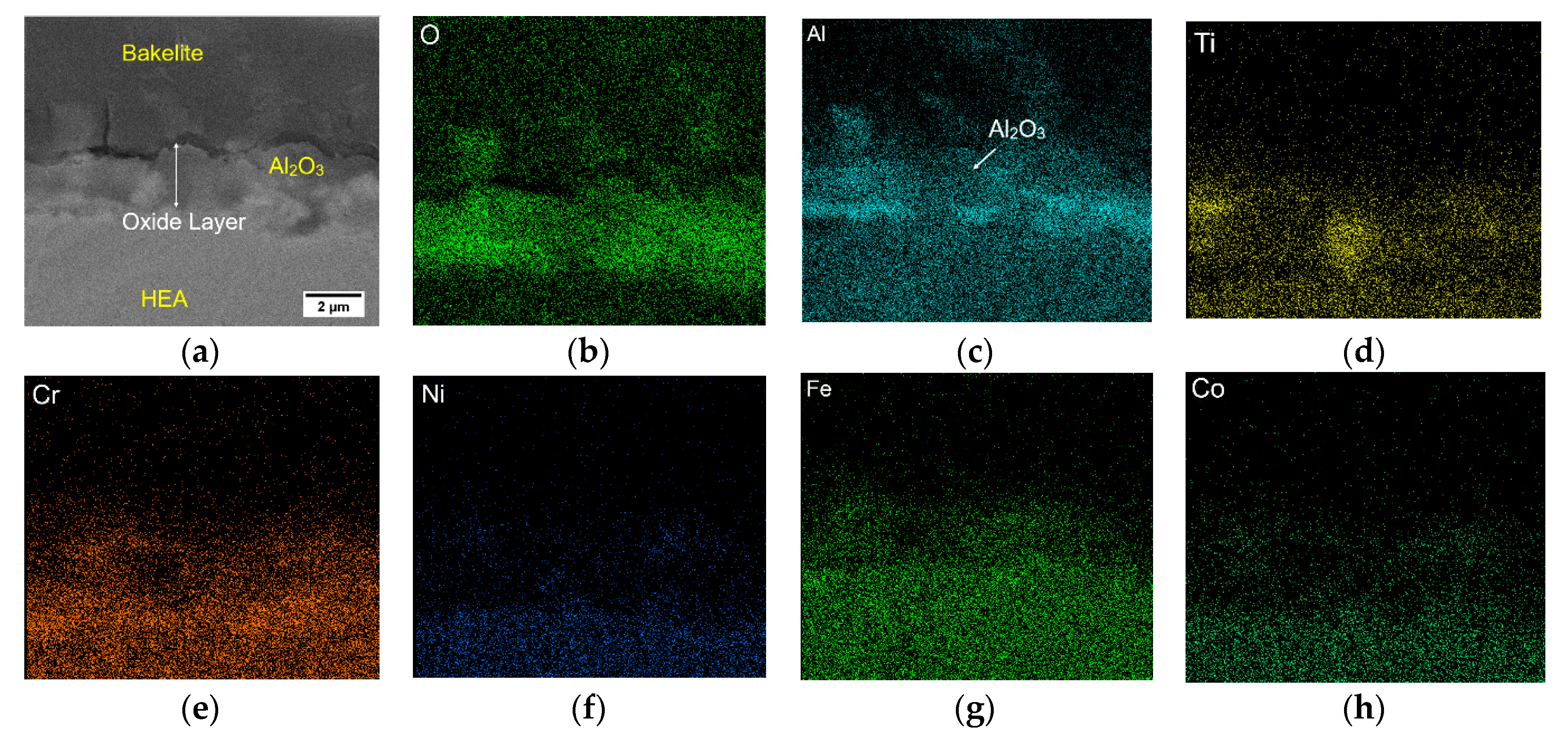 Crystals Free Full Text Laser Metal Deposition Of An Alcocrfeniti0 5 High Entropy Alloy Coating On A Ti6al4v Substrate Microstructure And Oxidation Behavior Html