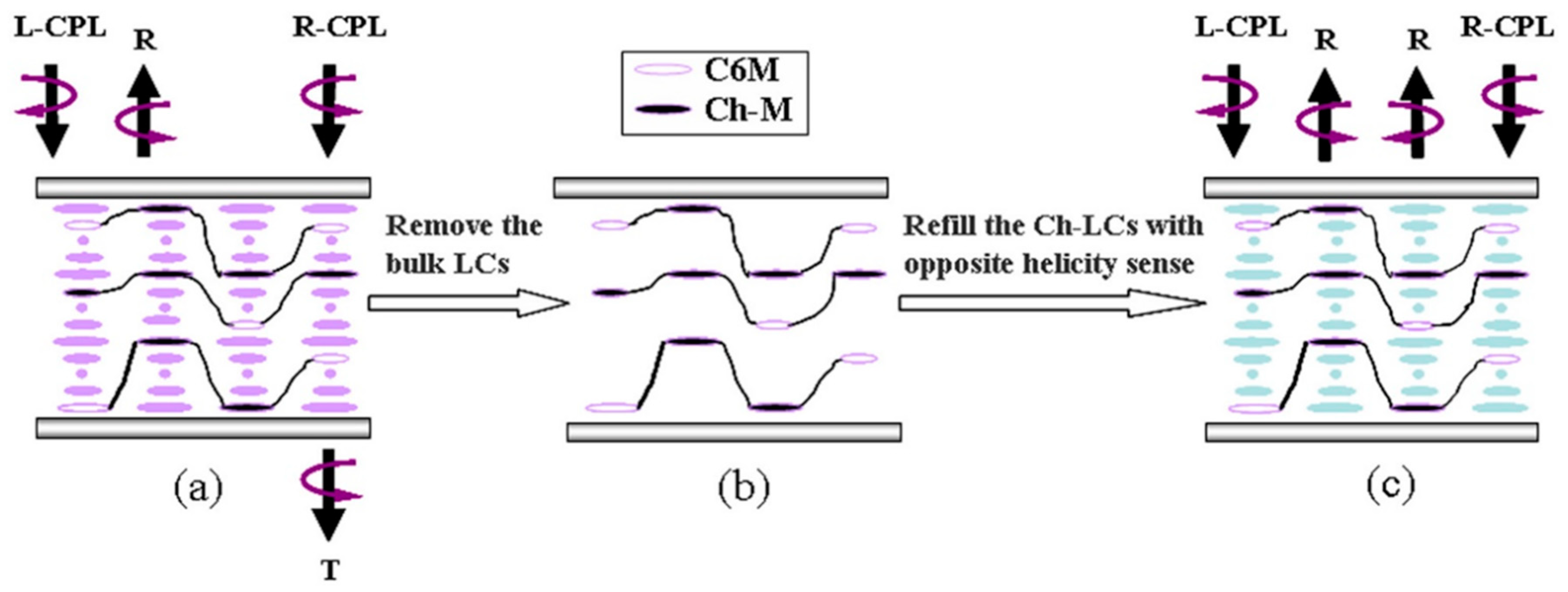 Crystals 10 00648 g010