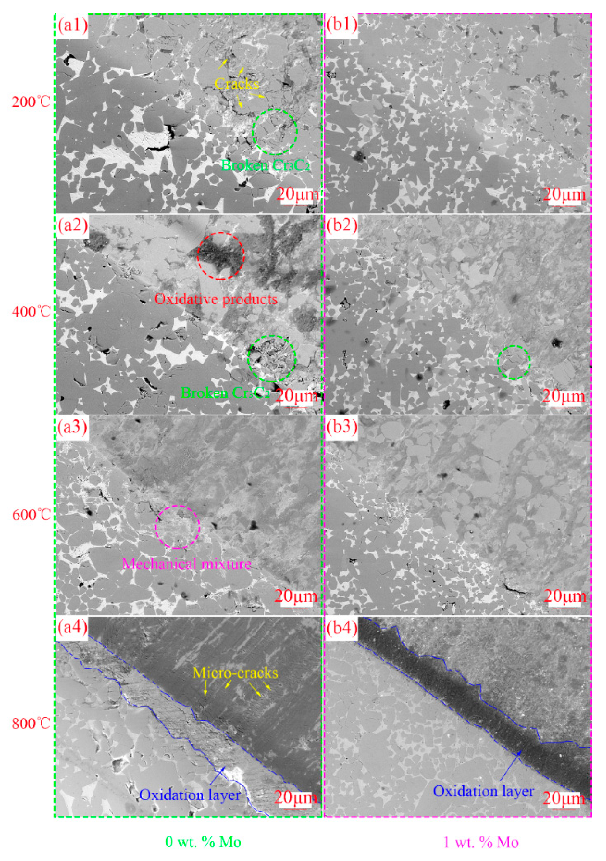 Crystals 10 00682 g004