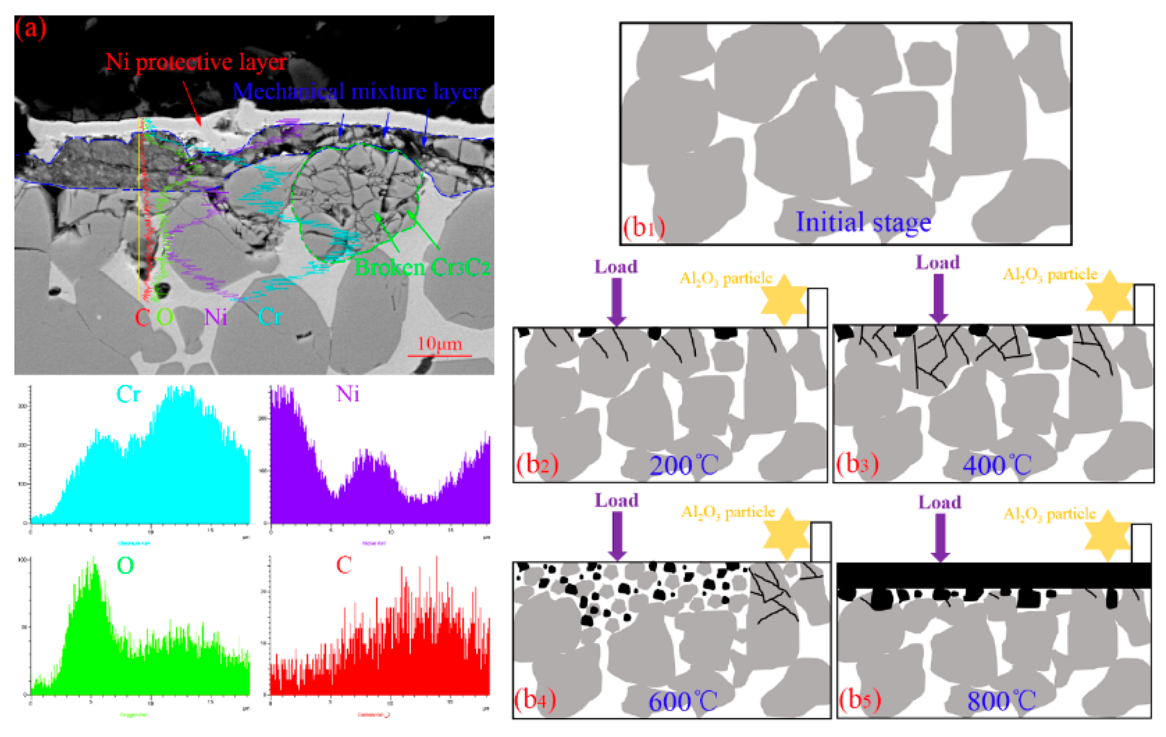 Crystals 10 00682 g006