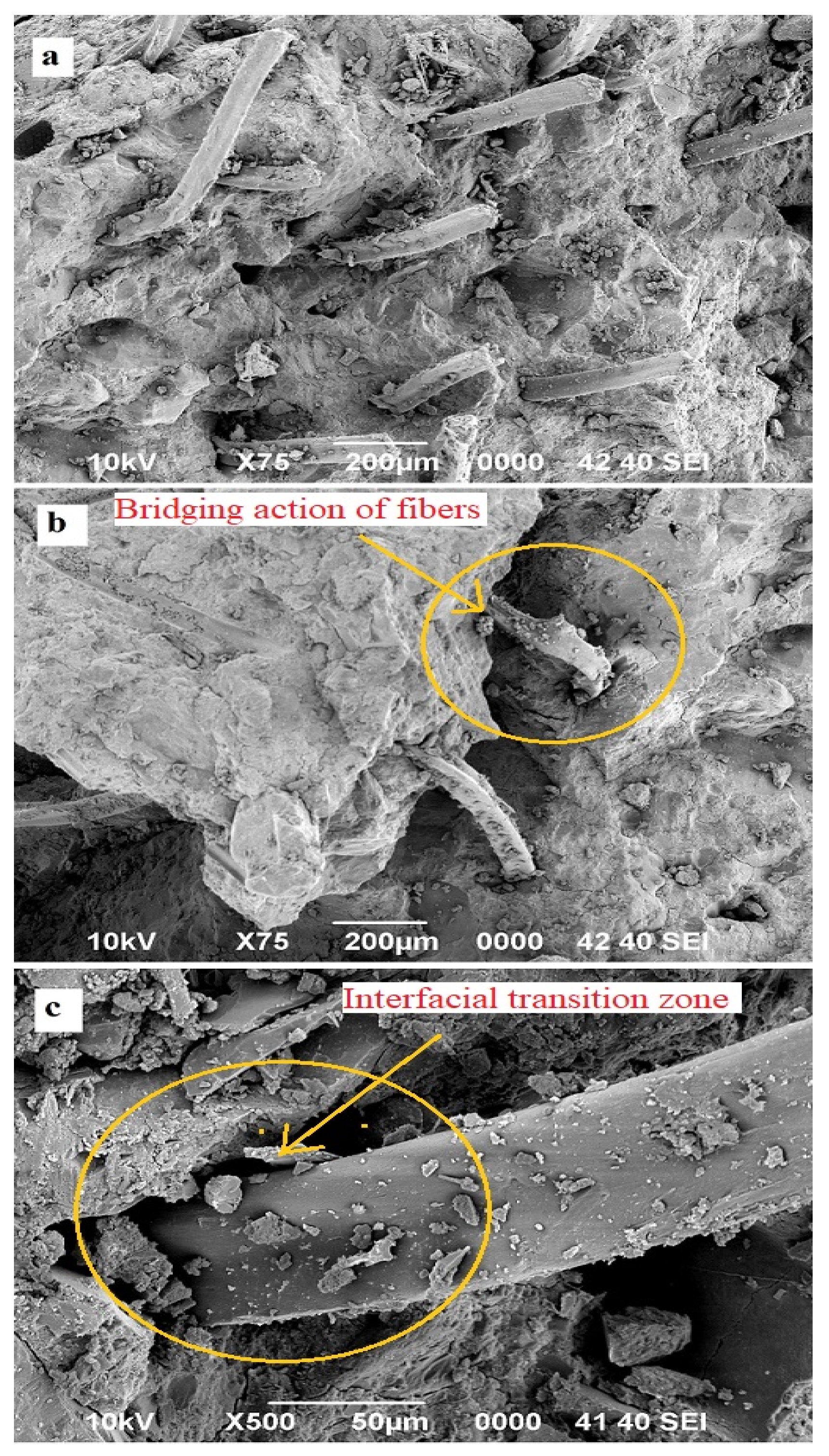 Crystals 10 00788 g012 Crystals 10 00788 g012