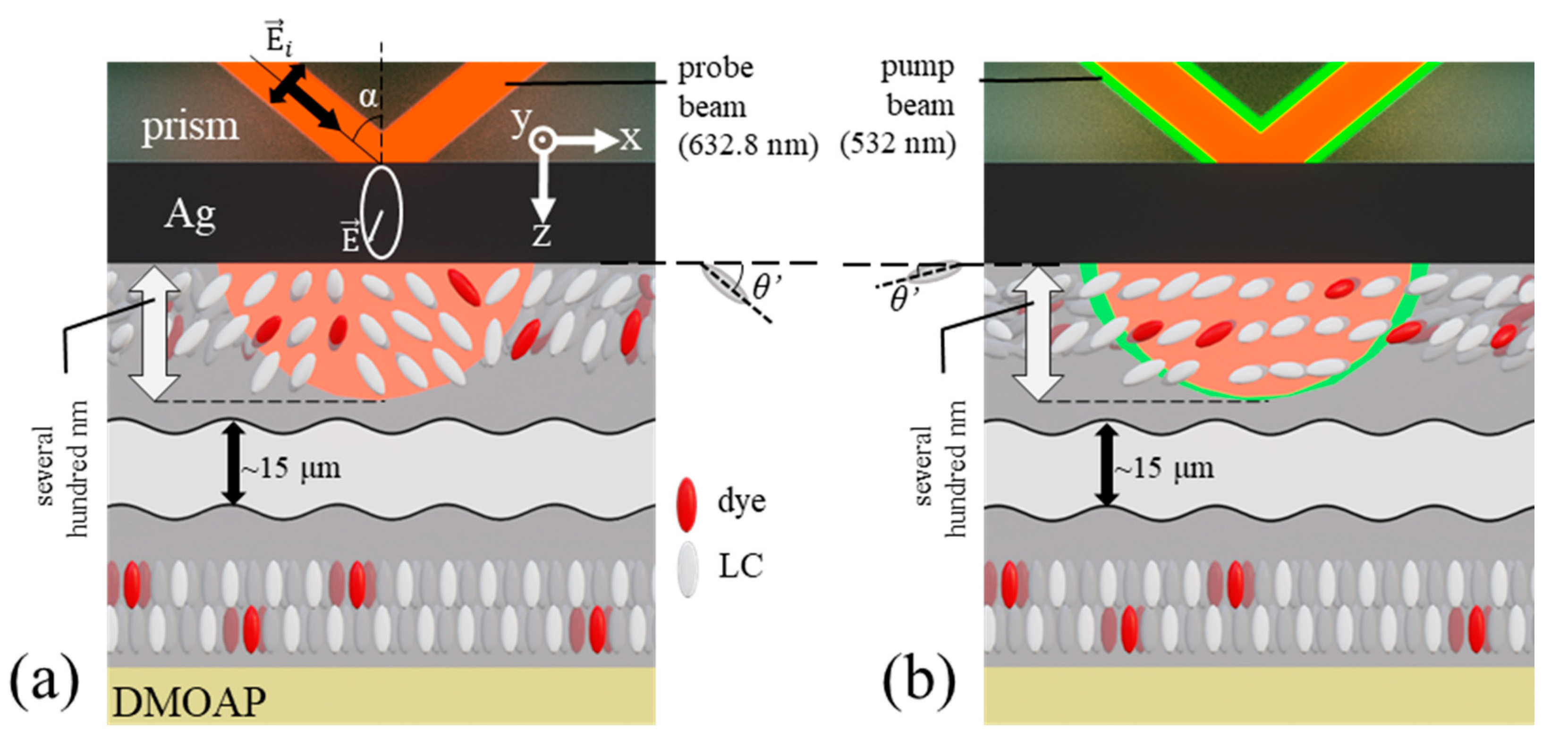 Crystals 10 00802 g002