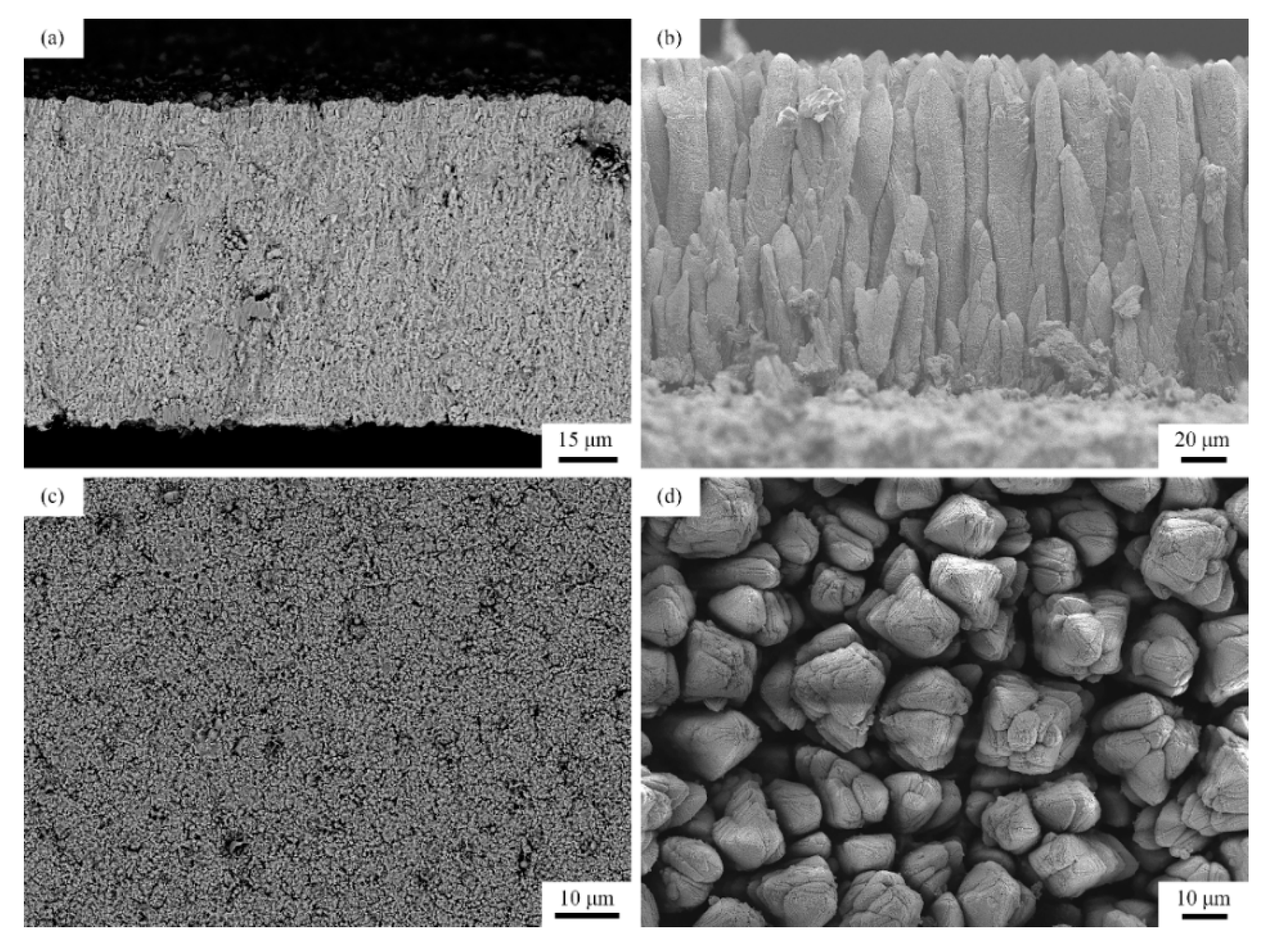 Crystals | Free Full-Text | Thermal Stability of PS-PVD YSZ Coatings with  Typical Dense Layered and Columnar Structures | HTML
