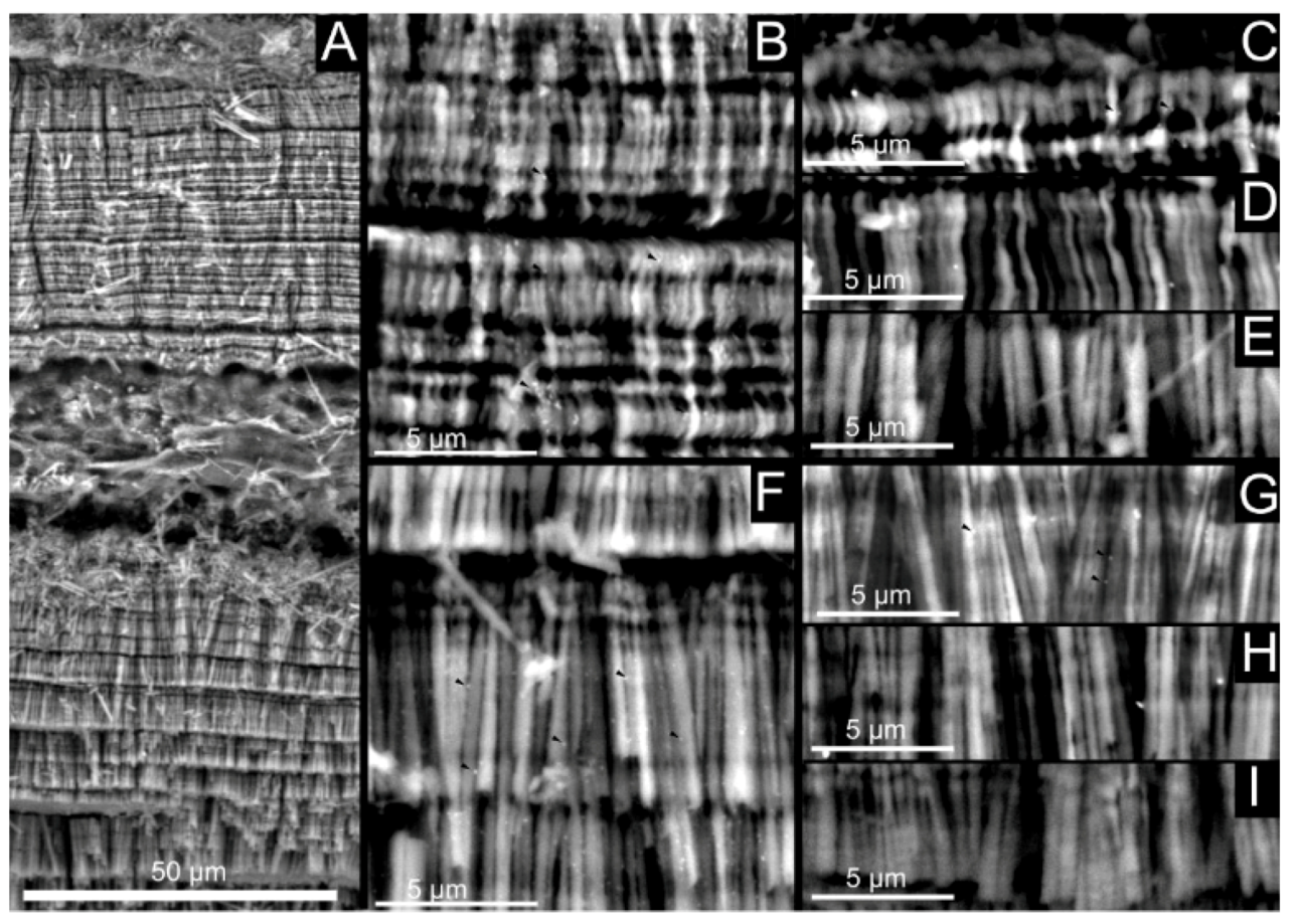 Crystals 10 00839 g011 Crystals 10 00839 g011