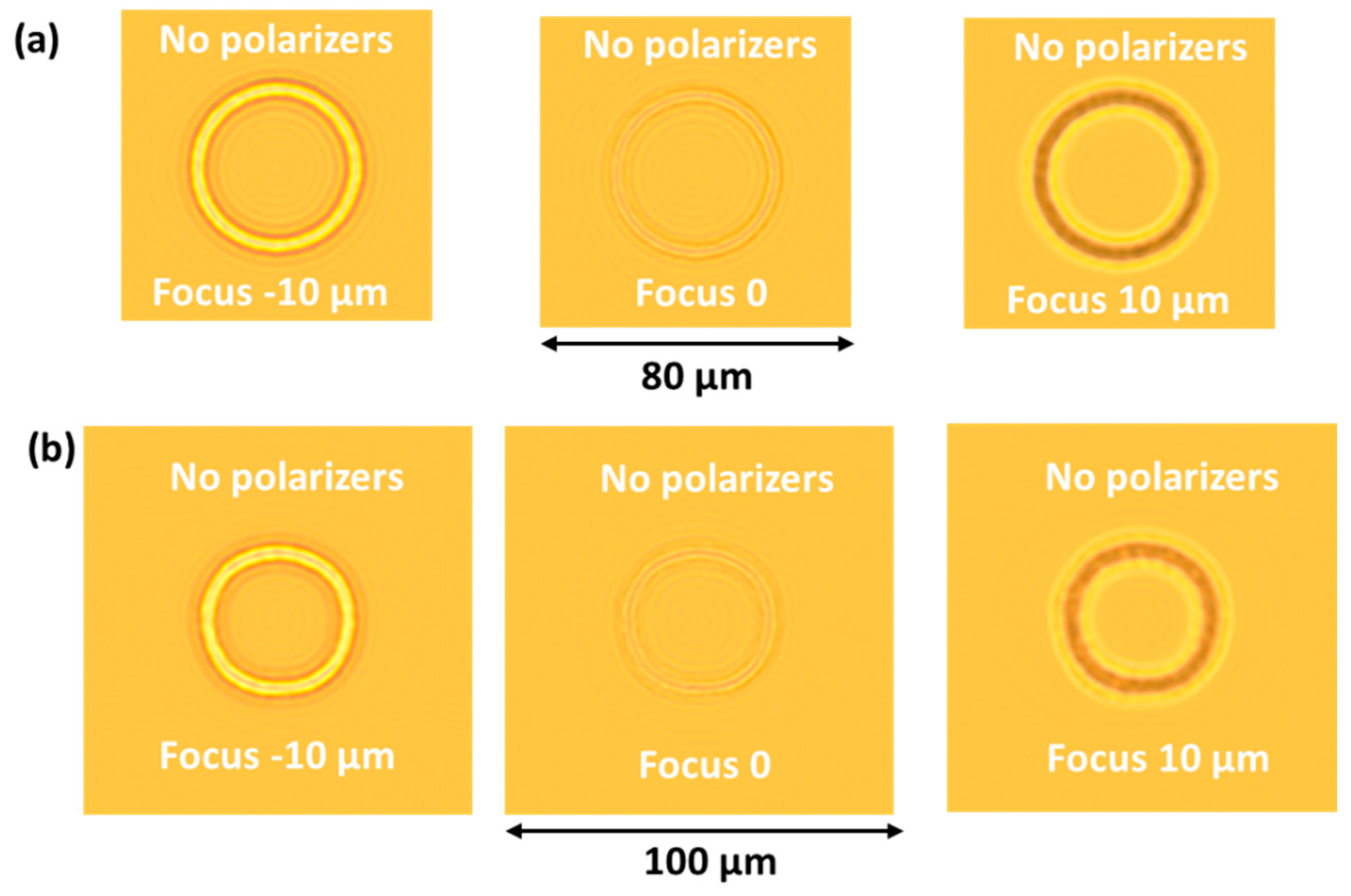Crystals 10 00840 g011 Crystals 10 00840 g011