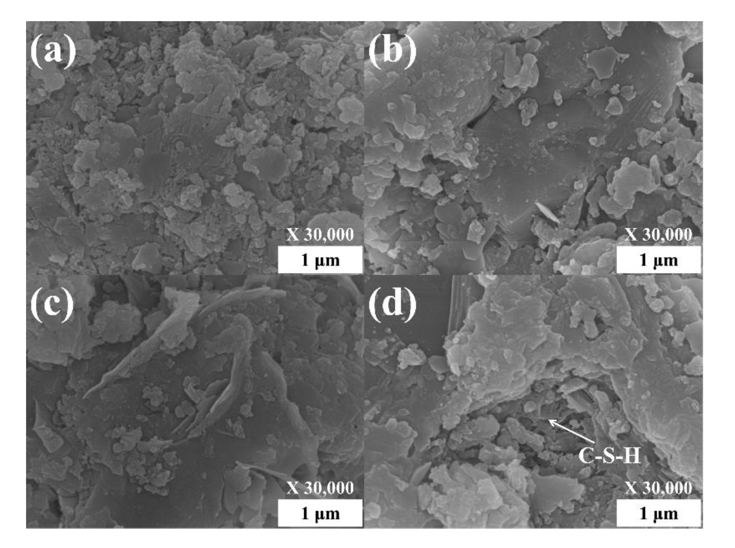 Crystals 10 00876 g010