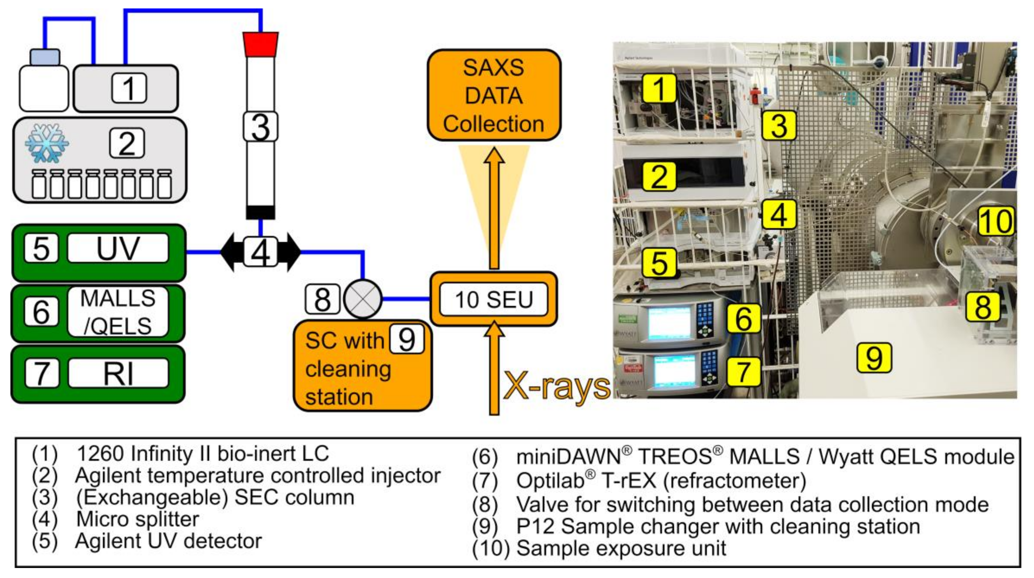 Crystals | Free Full-Text | Adding Size Exclusion Chromatography (SEC) and  Light Scattering (LS) Devices to Obtain High-Quality Small Angle X-Ray  Scattering (SAXS) Data