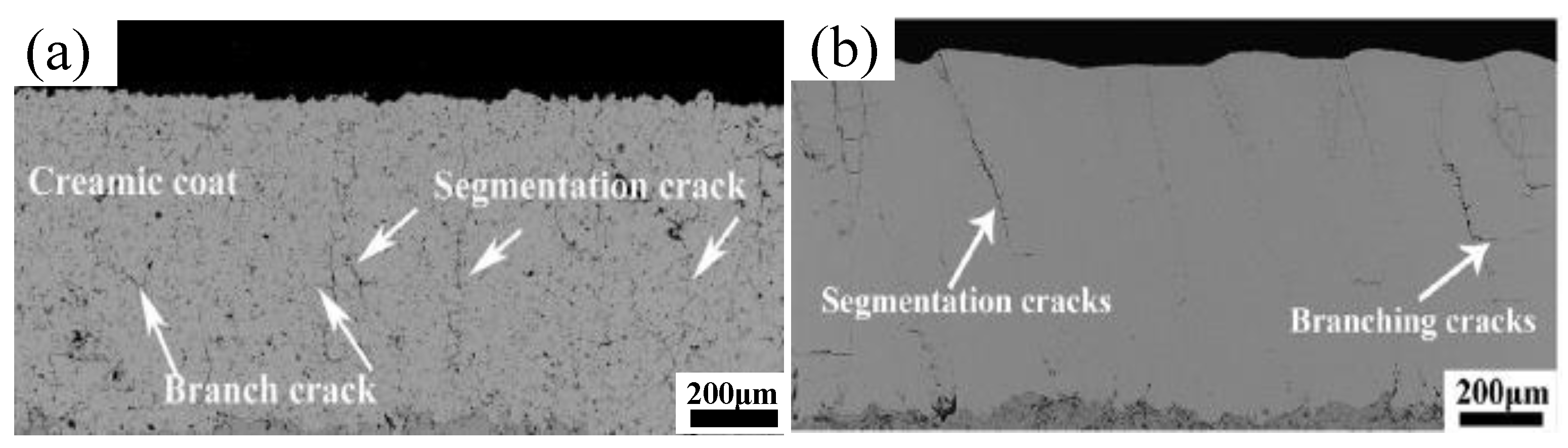 Crystals 10 00984 g004
