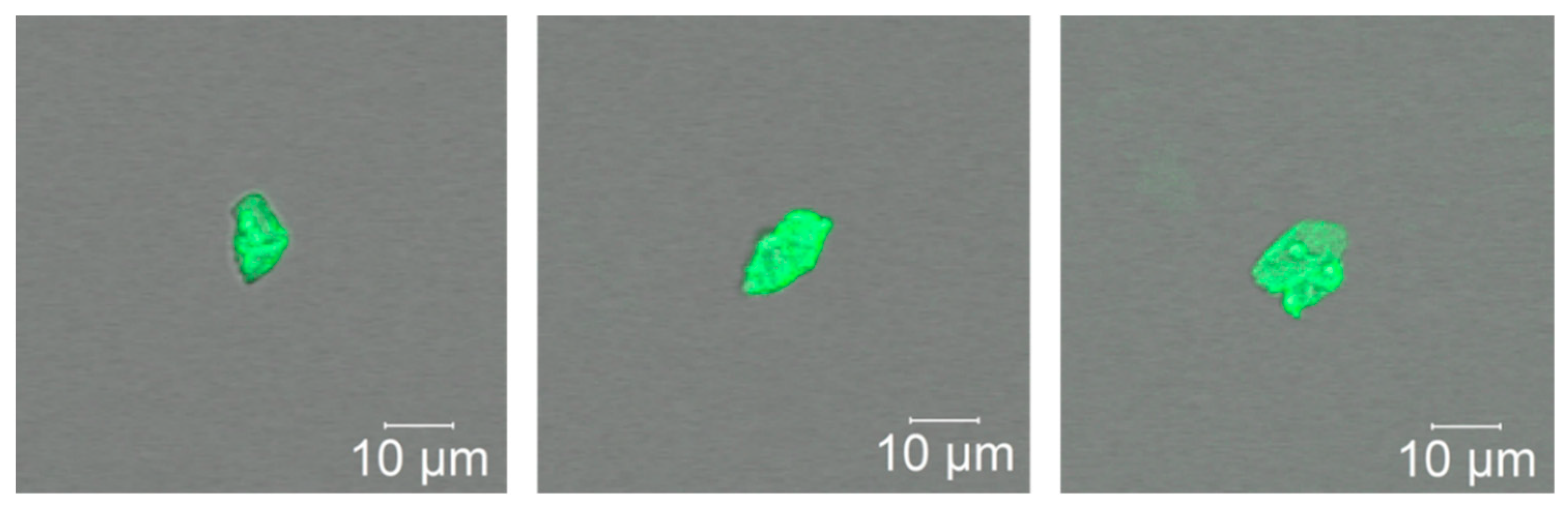 Crystals 10 00992 g005