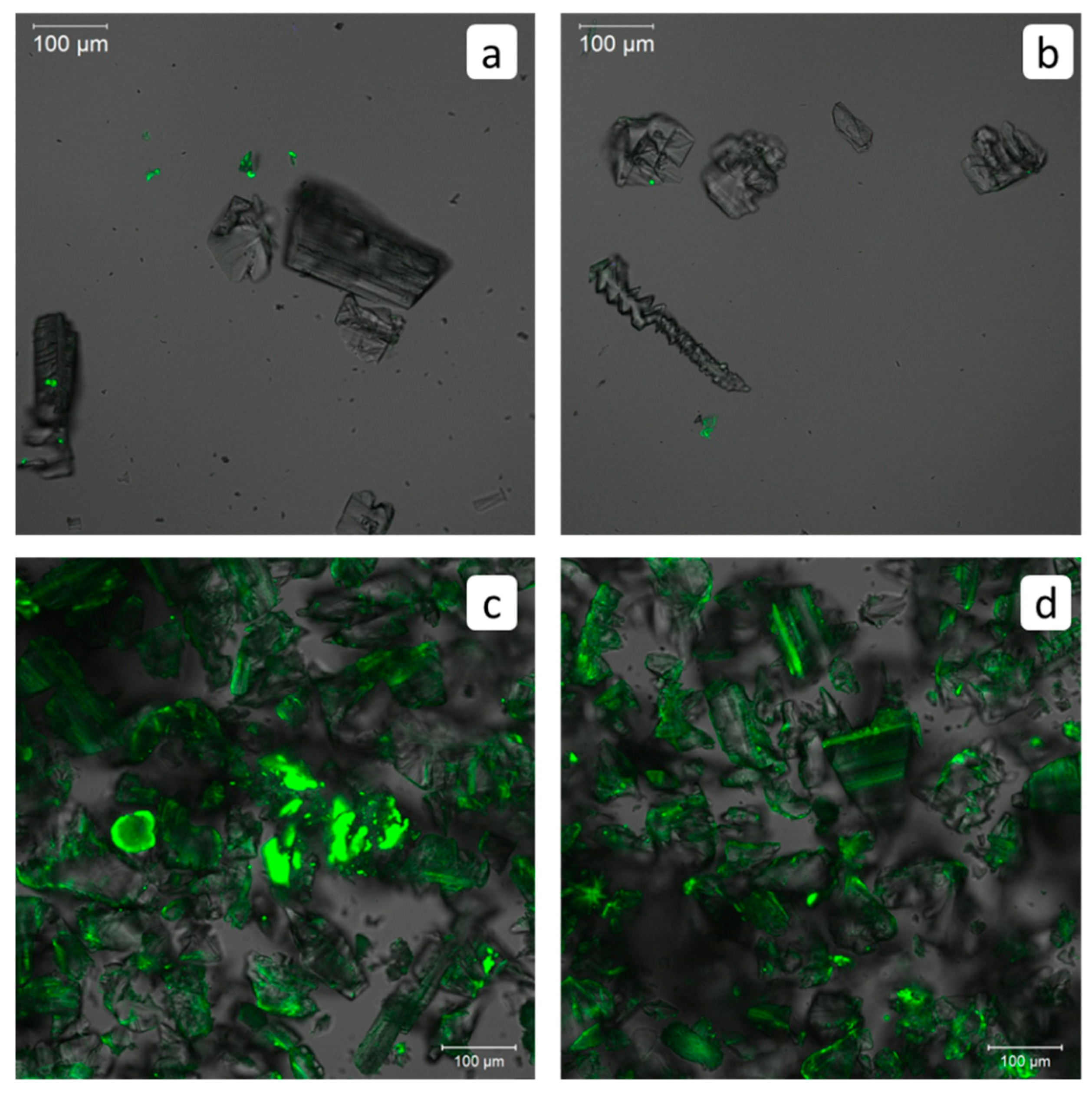 Crystals 10 00992 g007