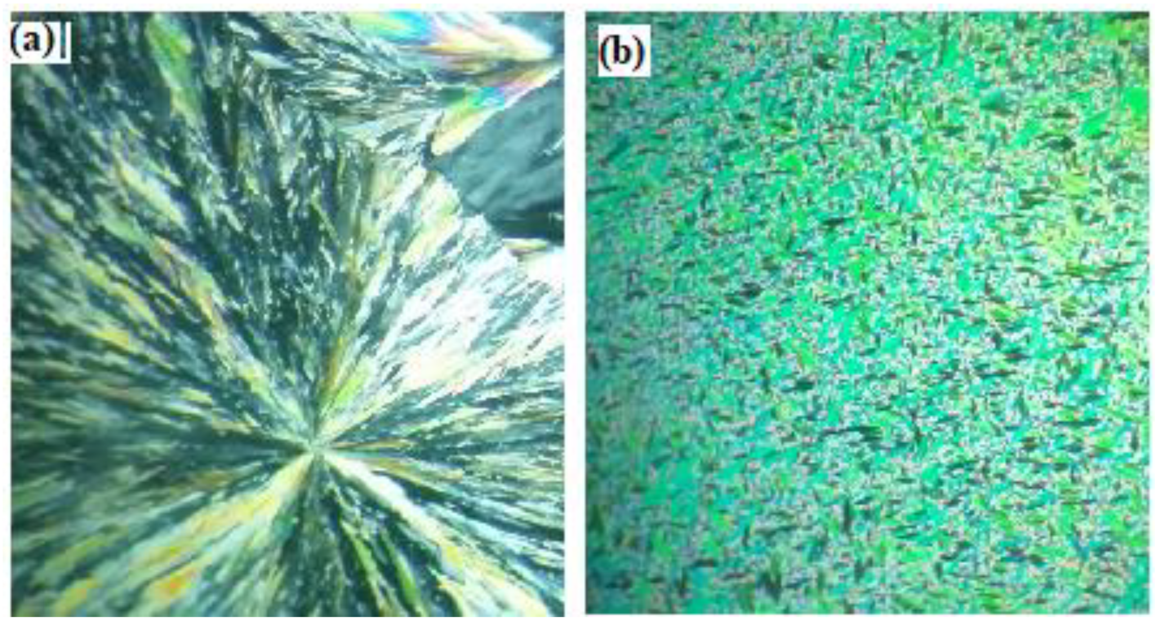 Crystals 10 01044 g003