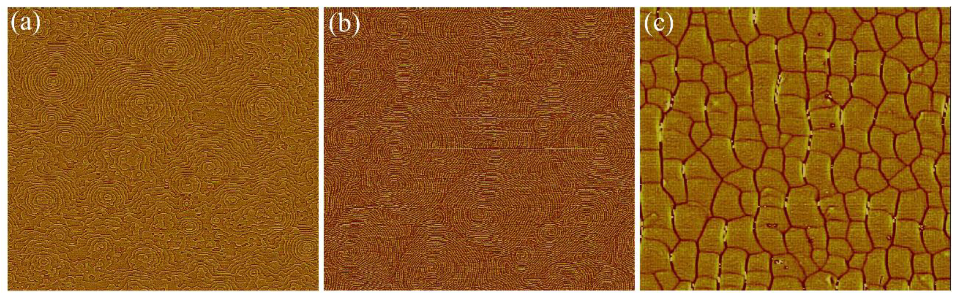 Crystals 10 01074 g004