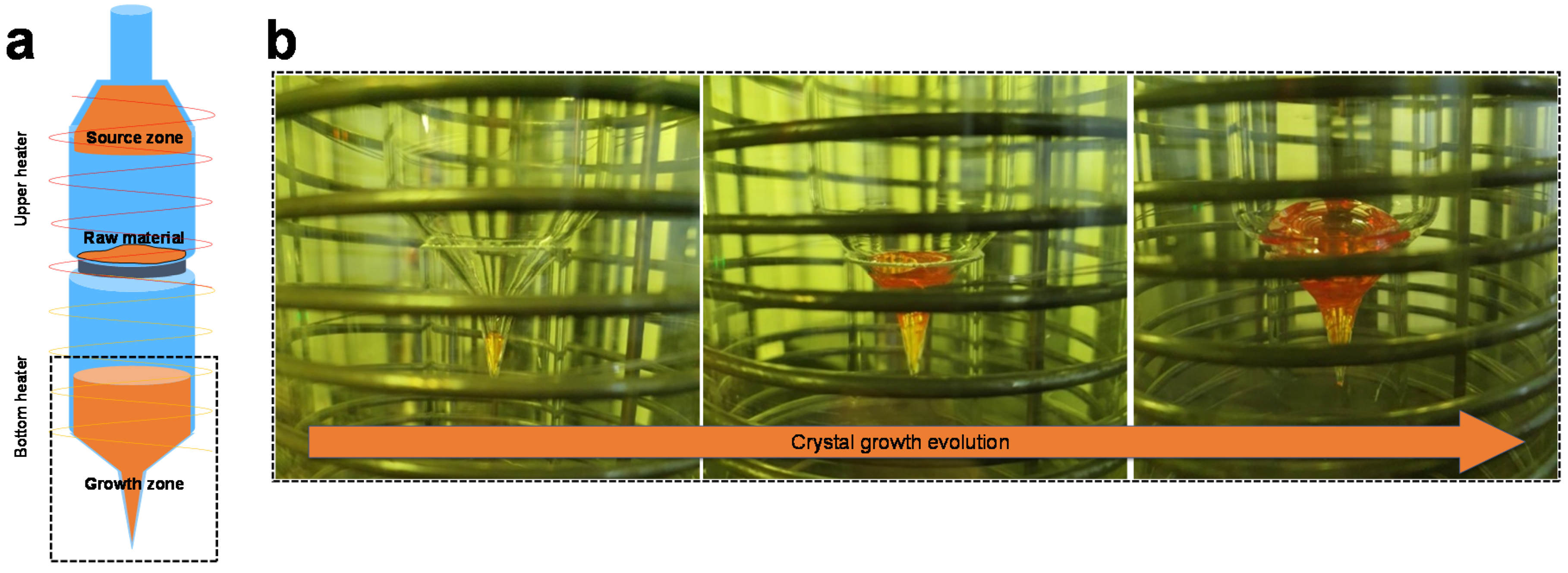 Crystals 10 01096 g002