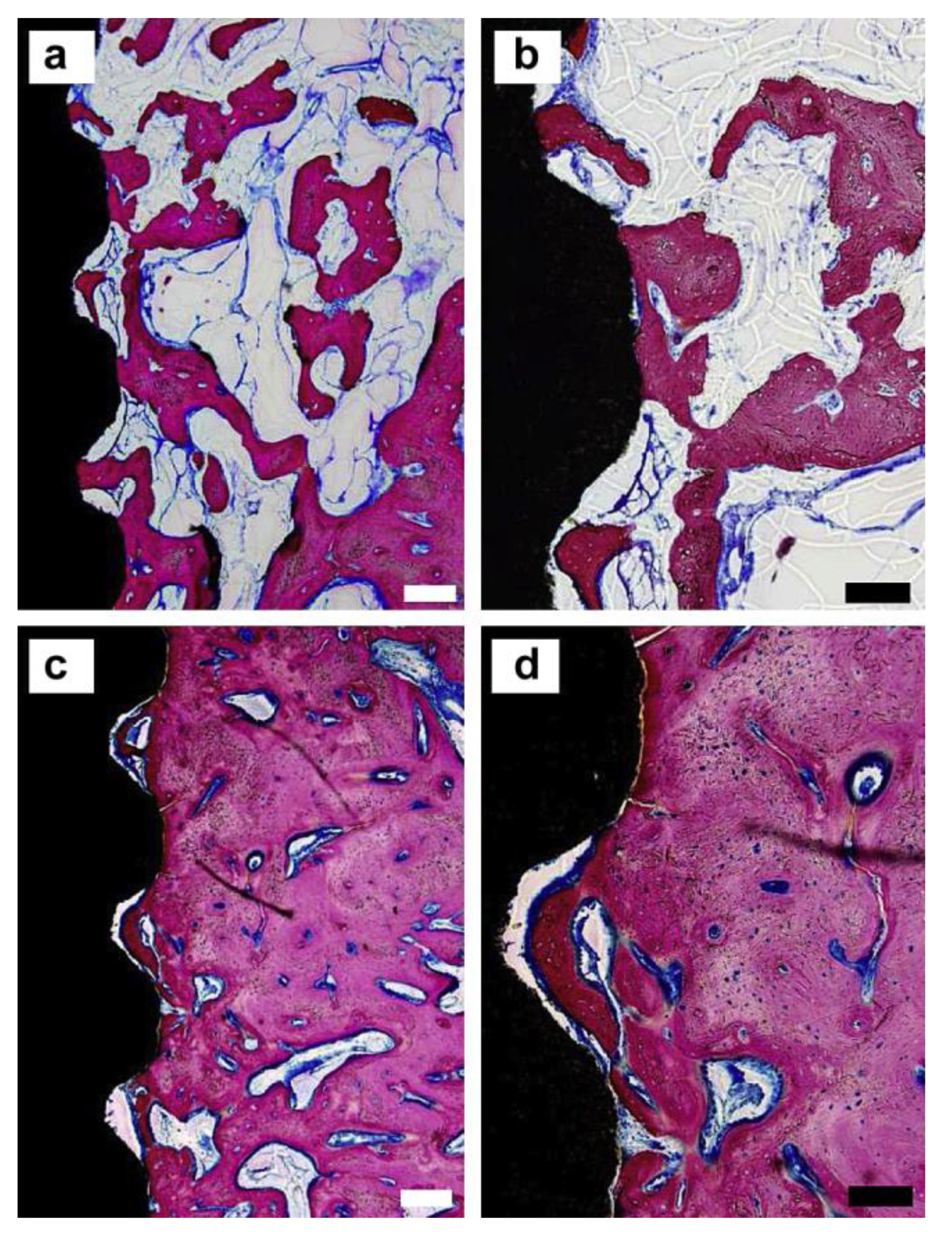 Crystals 11 00149 g002