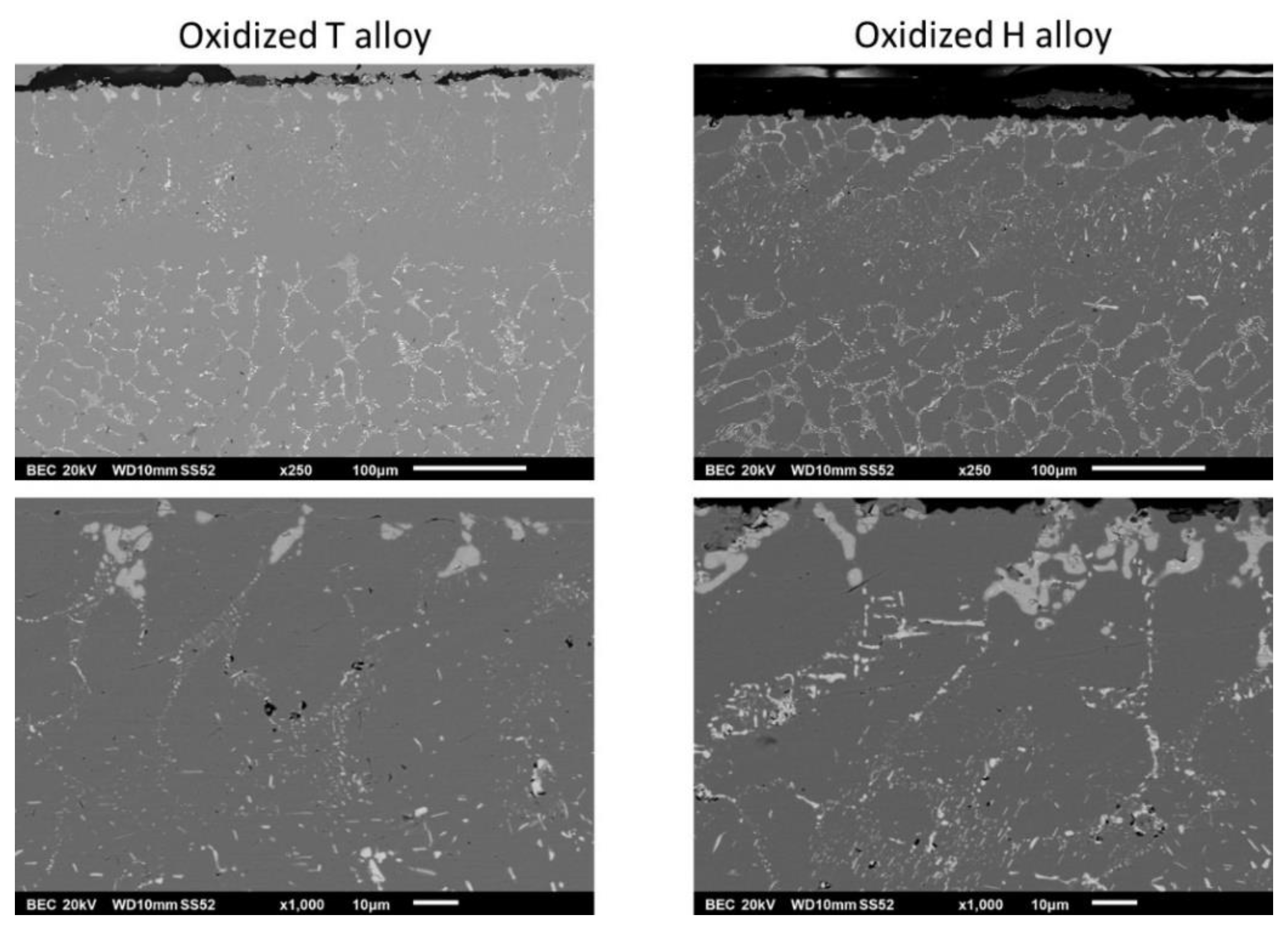 Crystals | Free Full-Text | Oxidation And Microstructural Behaviors Of ...