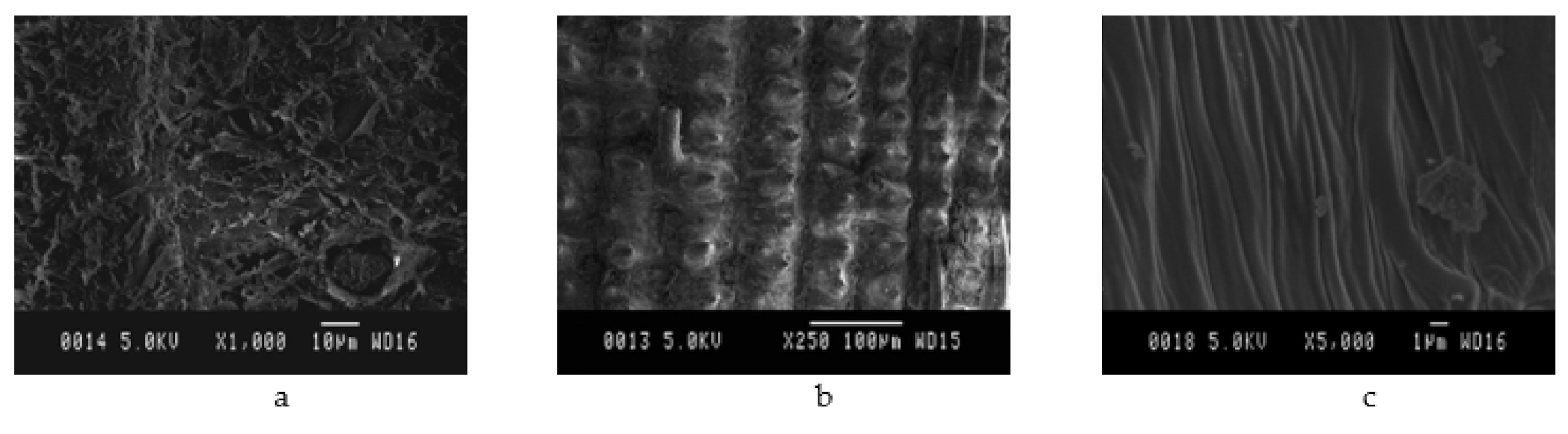 Crystals 11 00168 g007