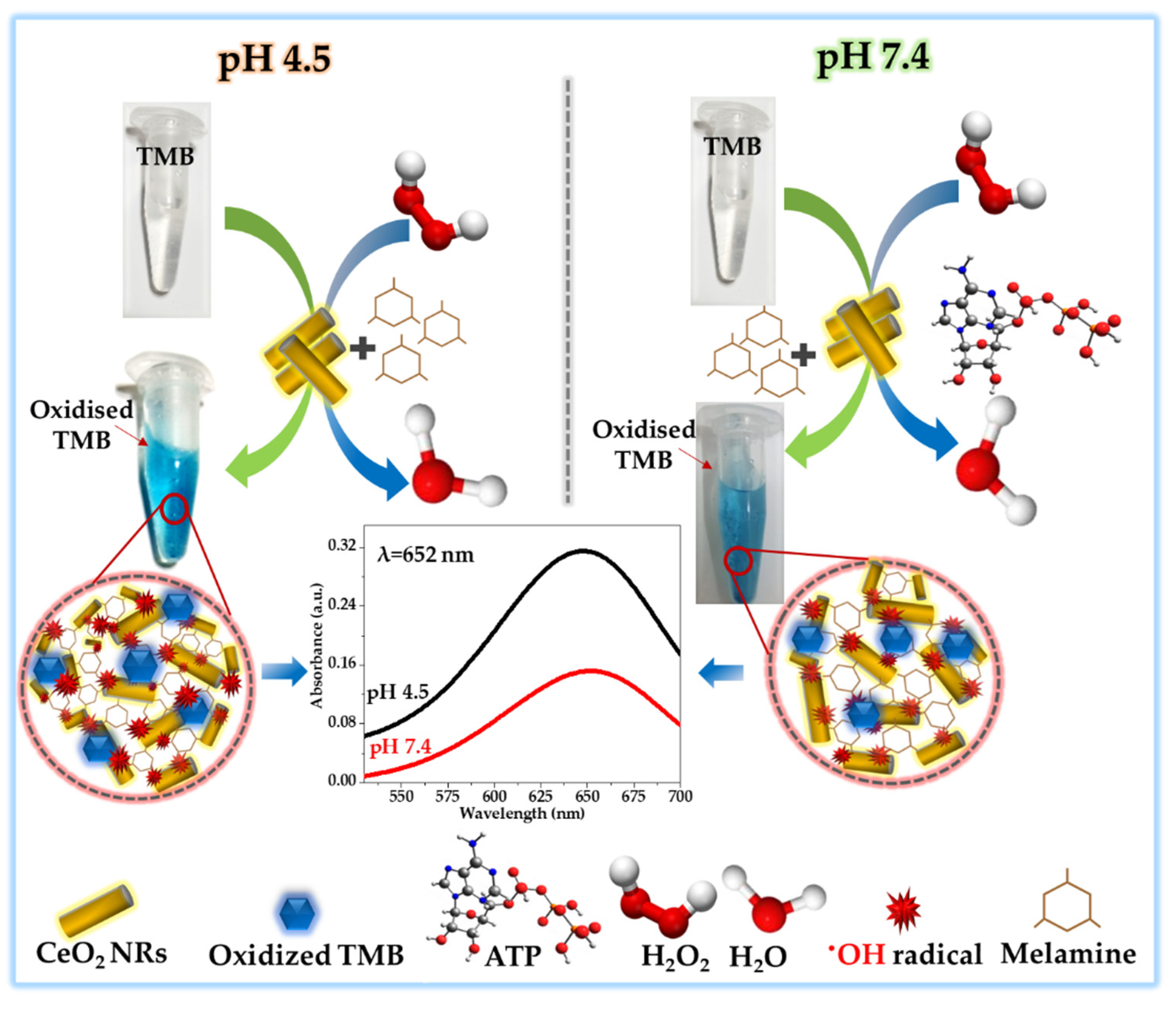 Crystals 11 00178 g006 Crystals 11 00178 g006