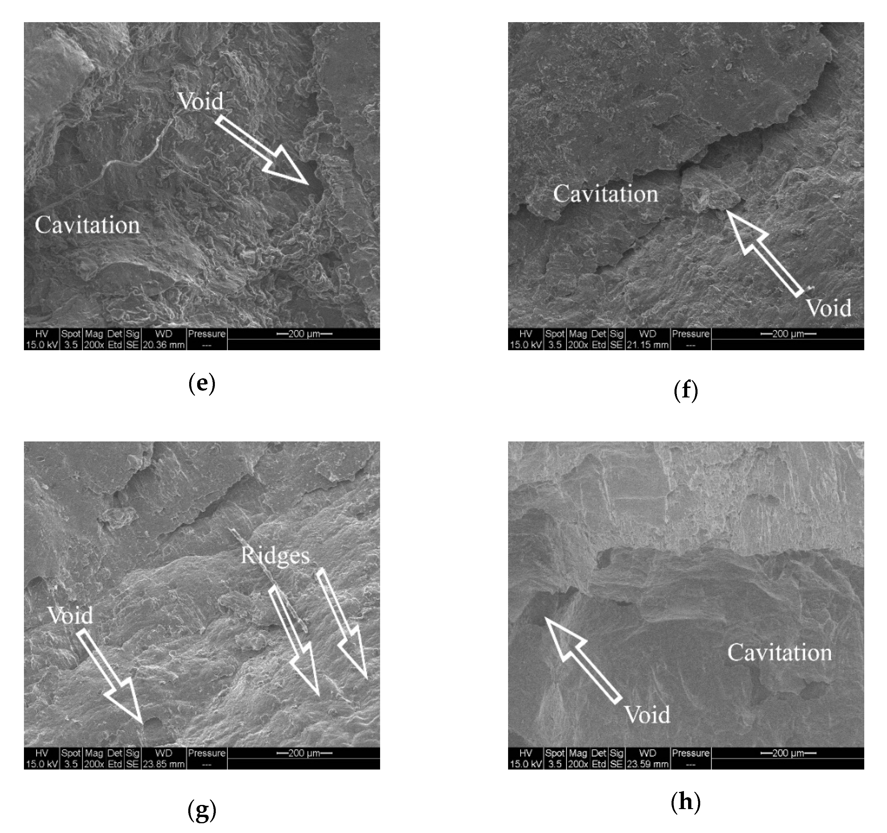 Crystals 11 00270 g008b
