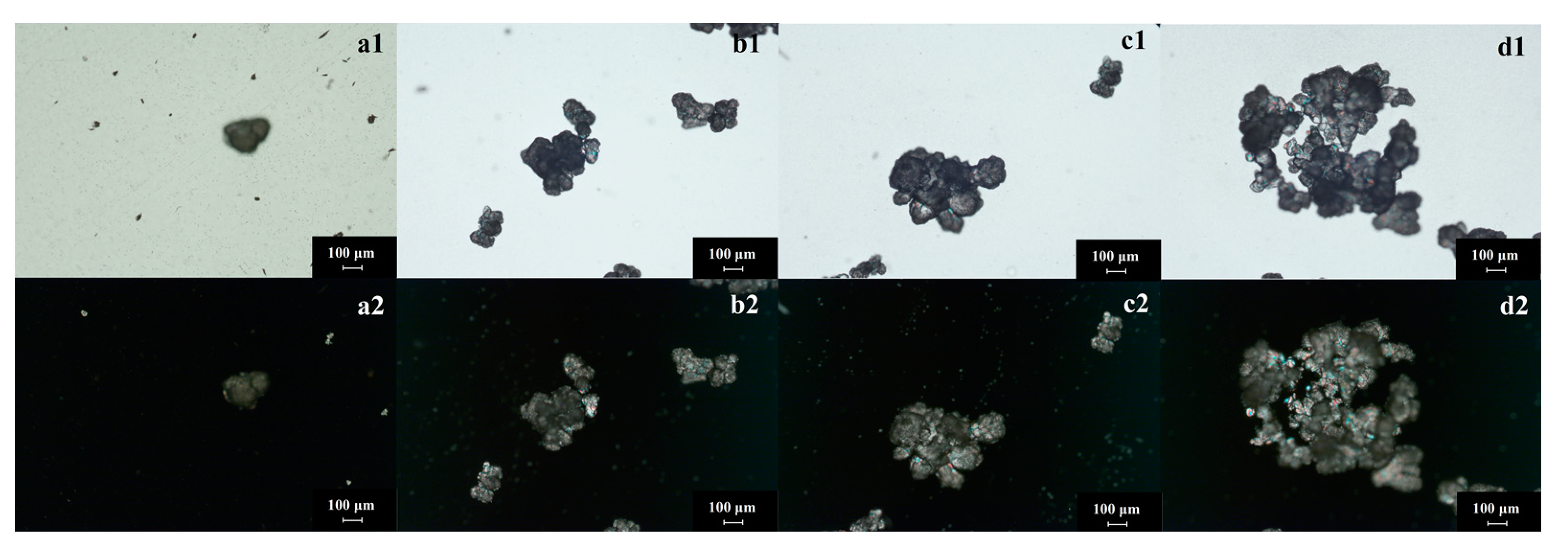 Crystals 11 00449 g005