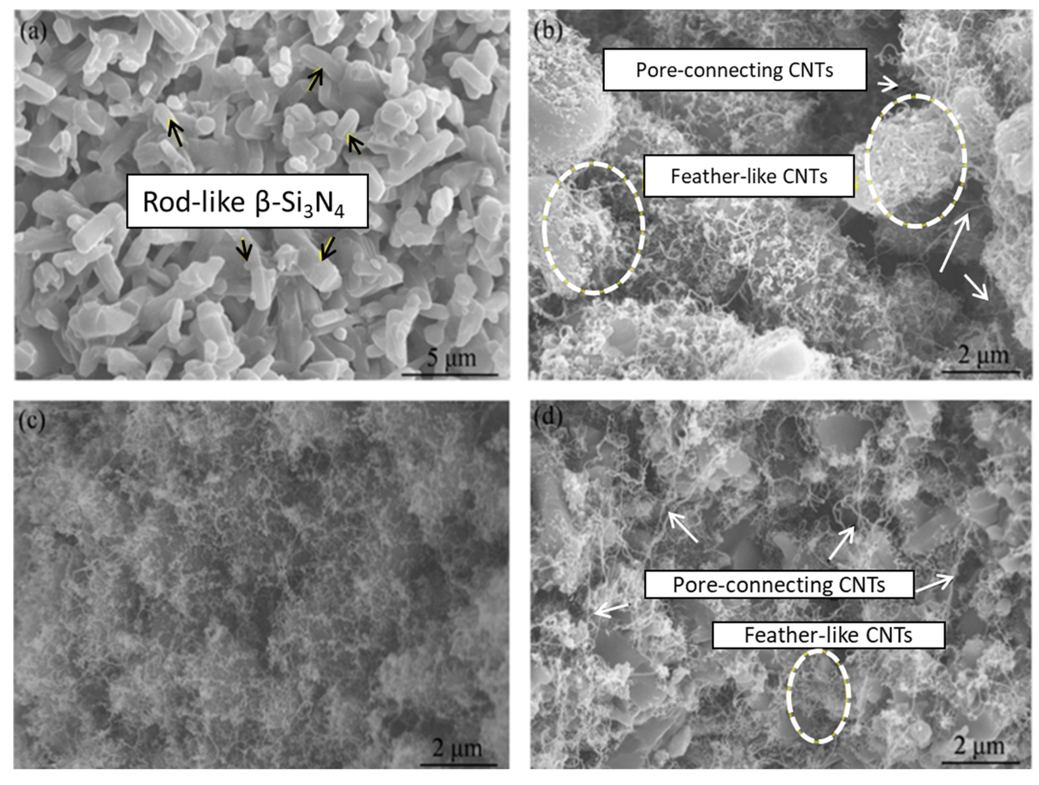 Crystals 11 00457 g008 Crystals 11 00457 g008