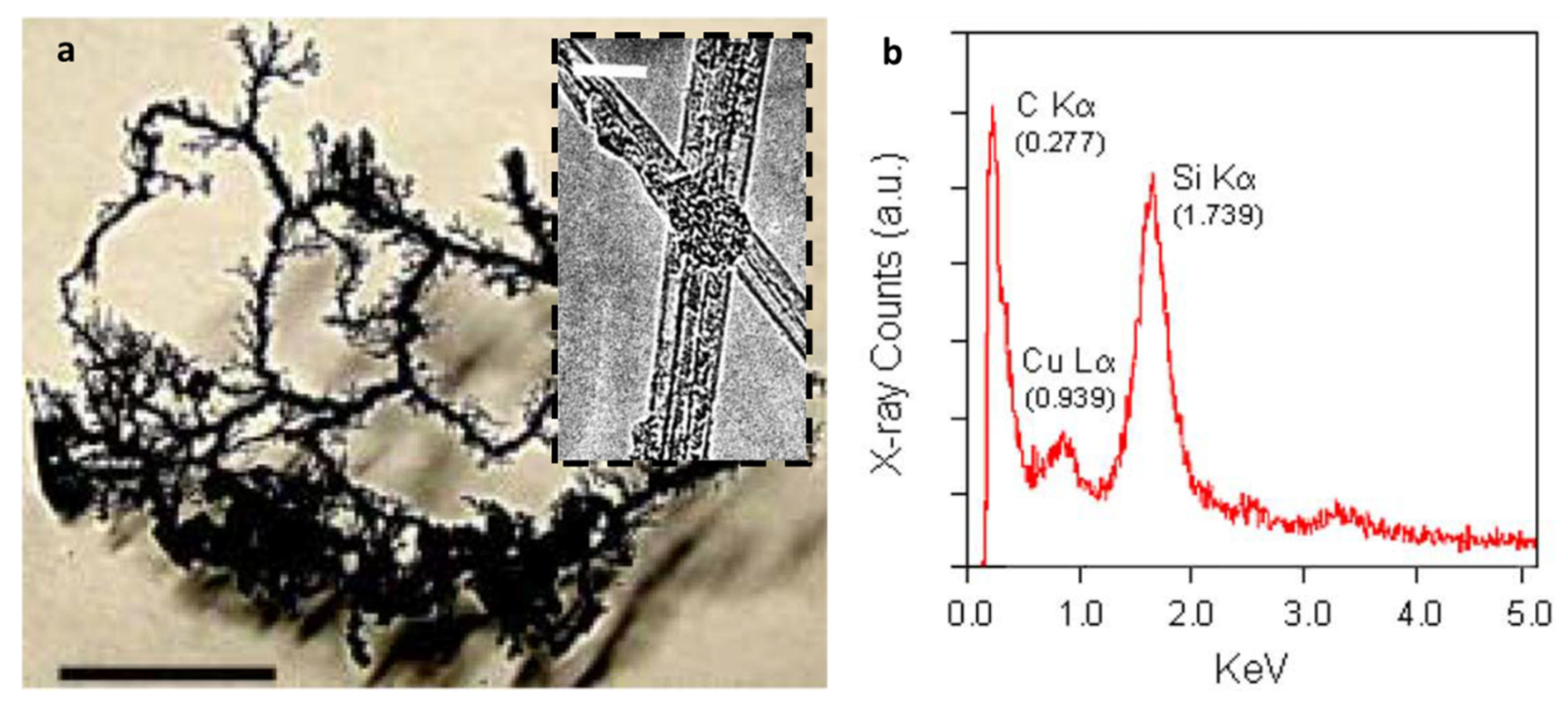 Crystals 11 00457 g014 Crystals 11 00457 g014