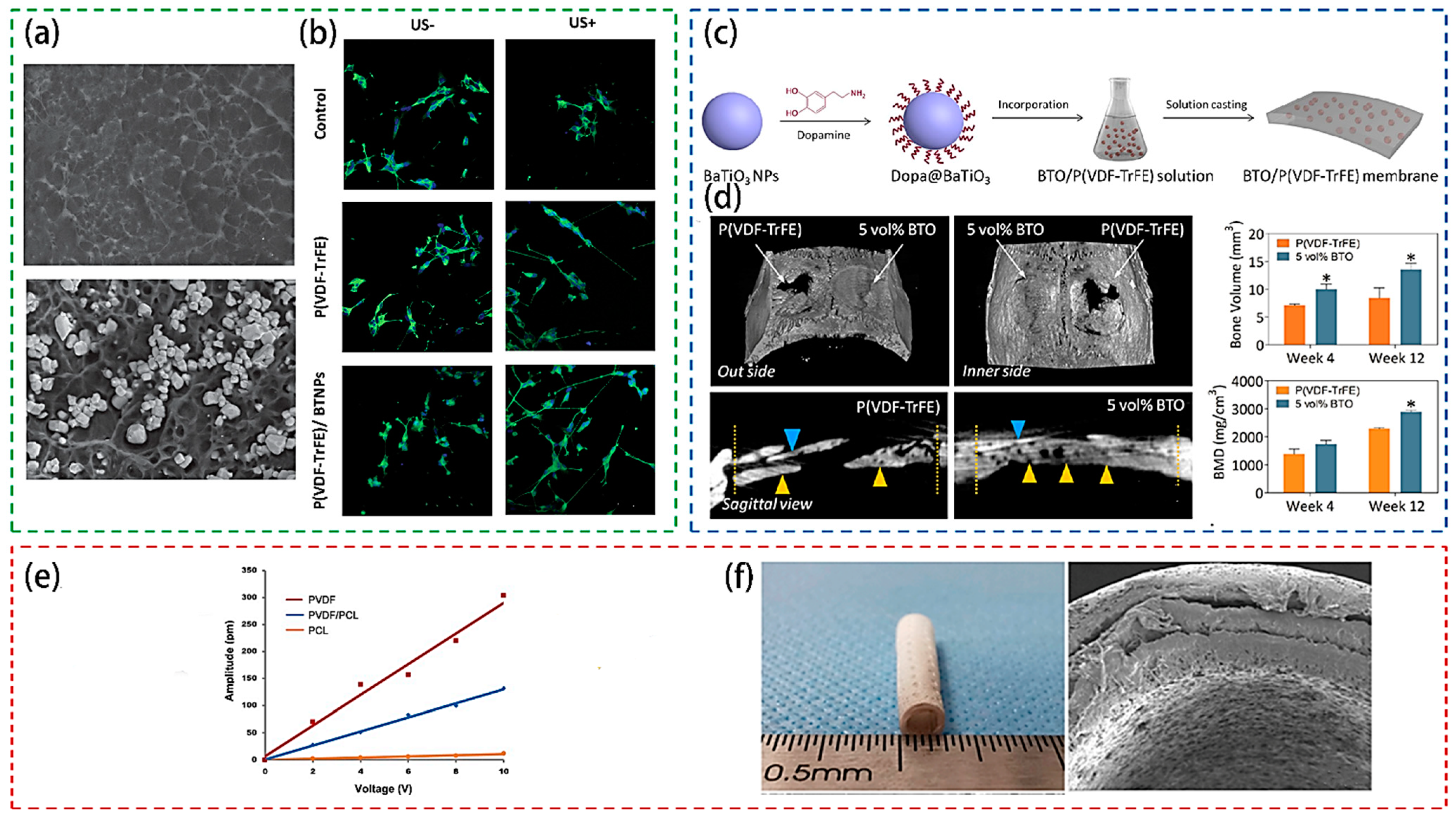 Crystals 11 00644 g006 Crystals 11 00644 g006