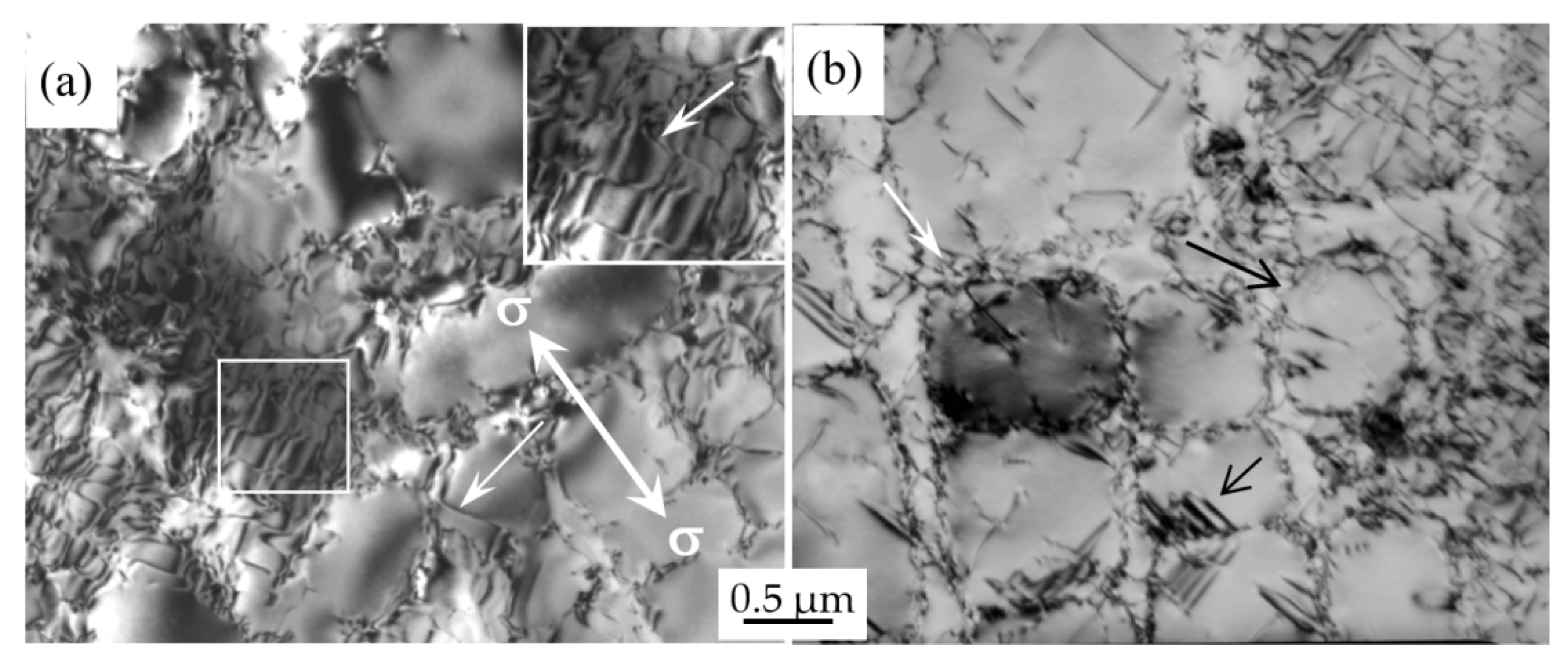 Crystals Free Full Text Creep Damage And Deformation Mechanism Of A Directionally Solidified Alloy During Moderate Temperature Creep Html