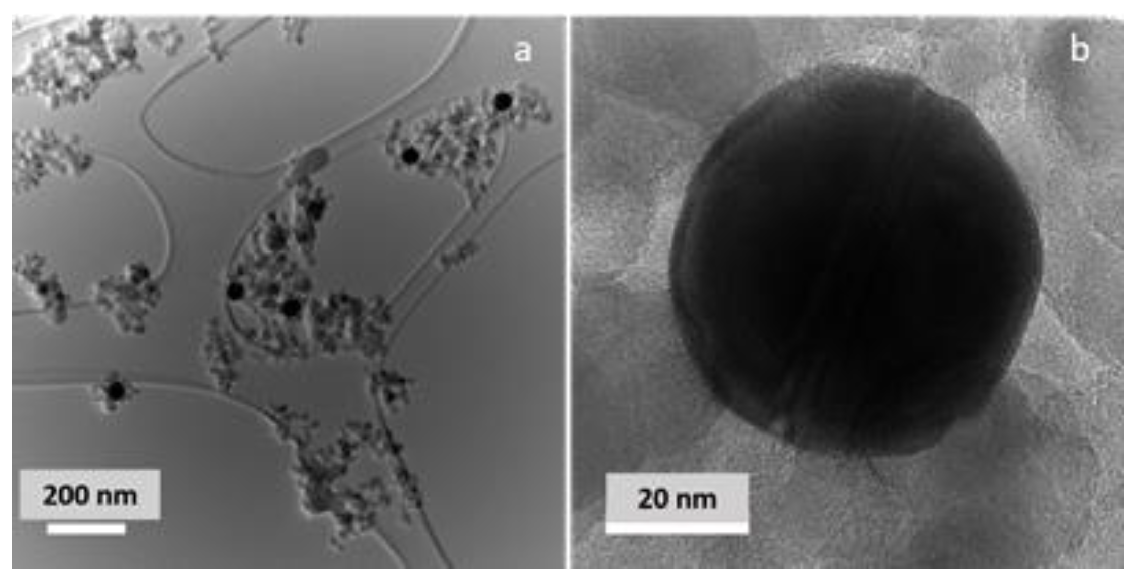 Crystals 11 00659 g002