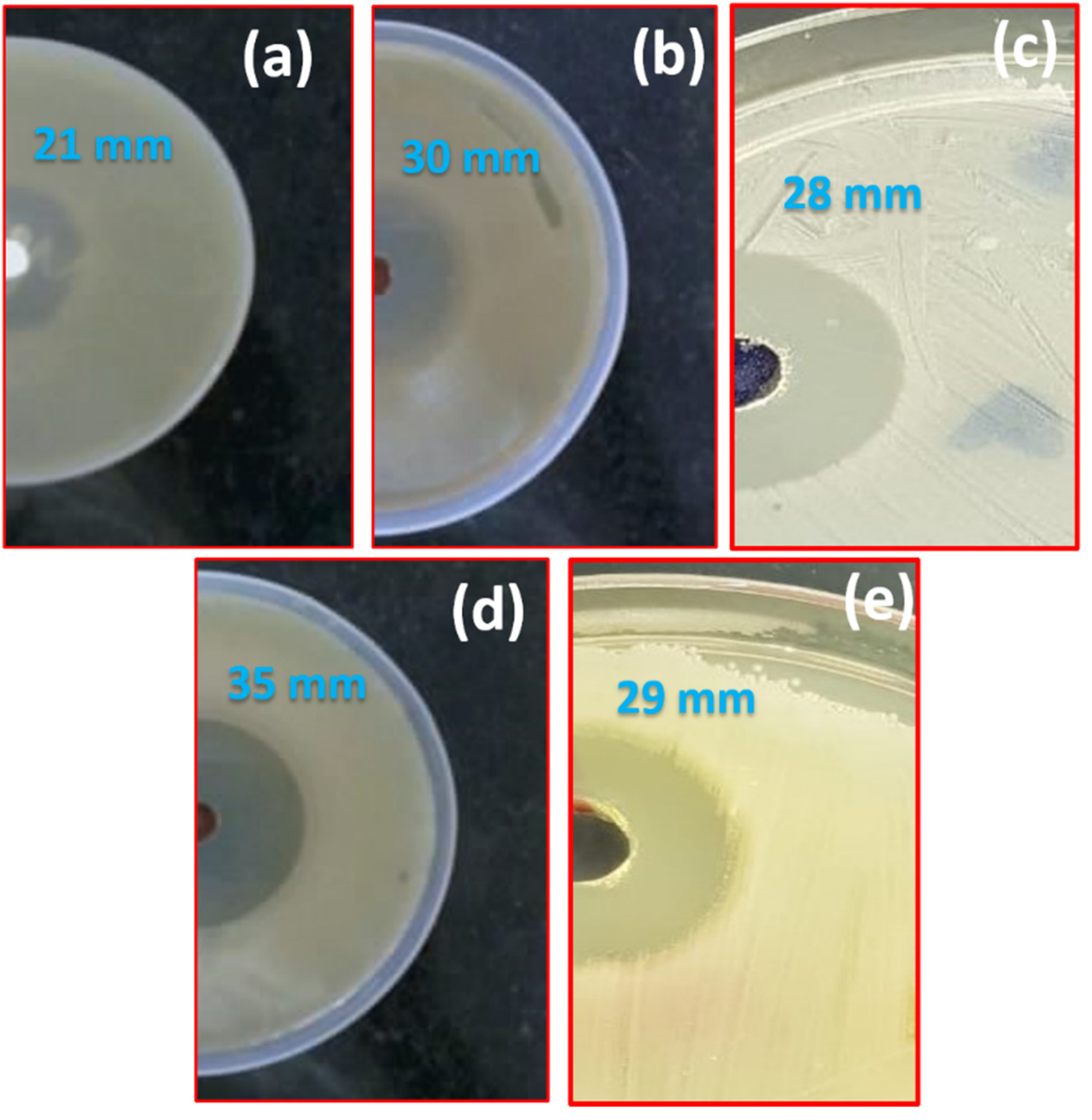 Crystals 11 00666 g004