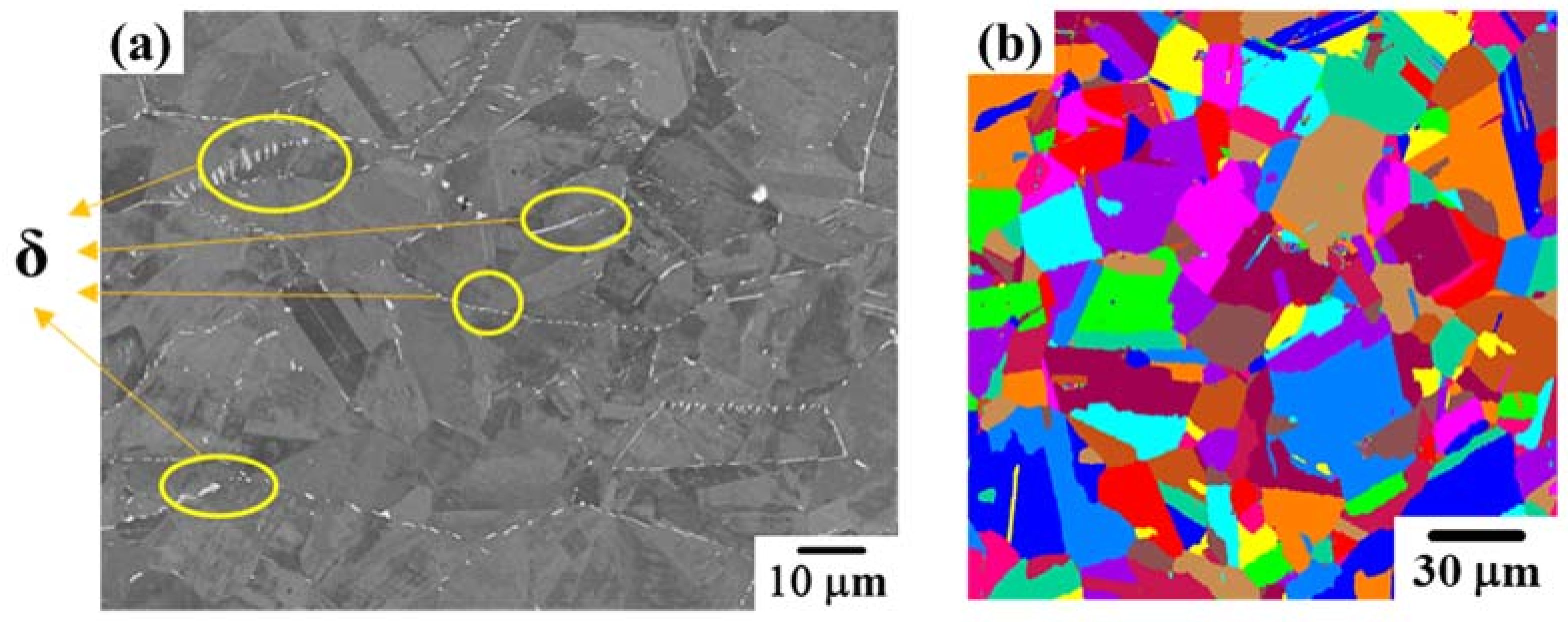 Crystals 11 00811 g001