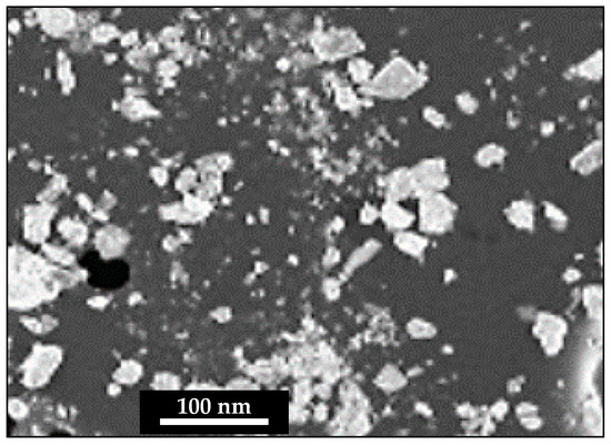 TEM images of micromorphology of (A) HSA and (B) DDC@HSA (scale