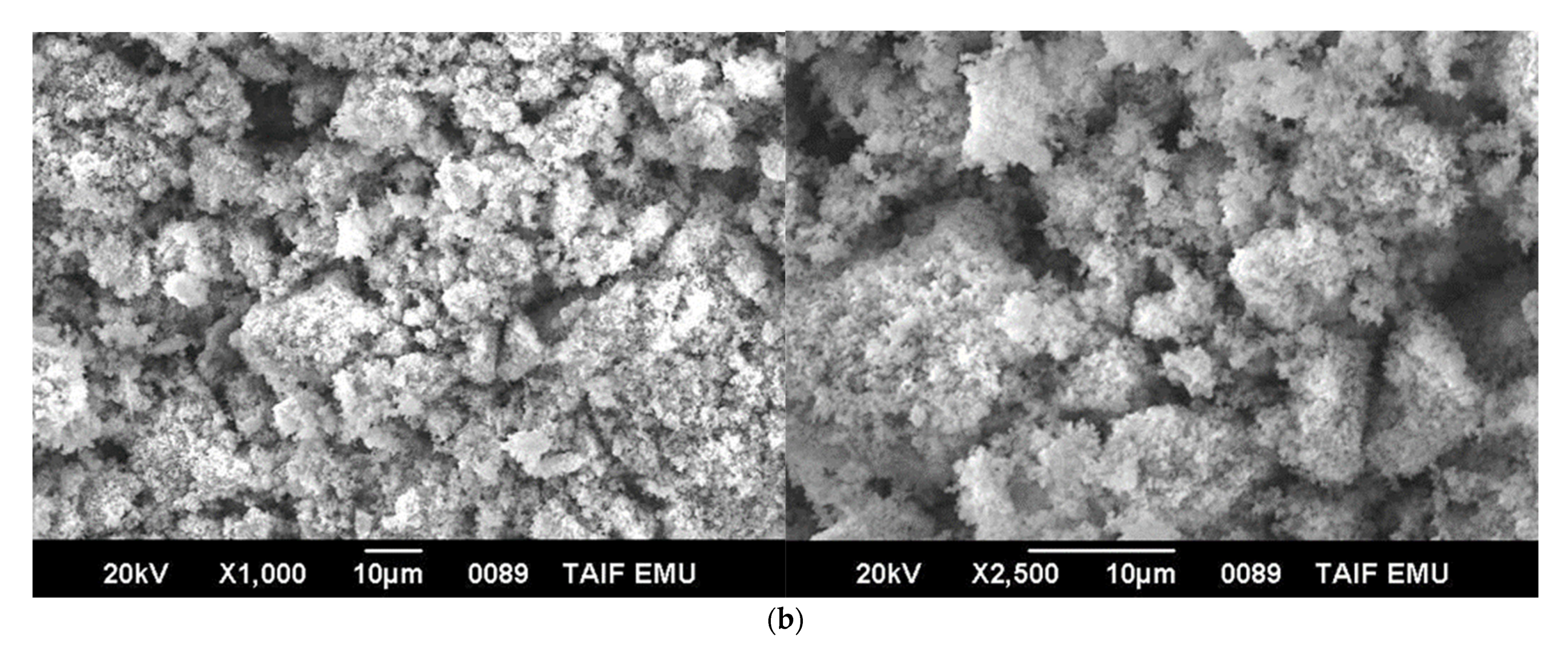 Crystals 11 00960 g005b Crystals 11 00960 g005b