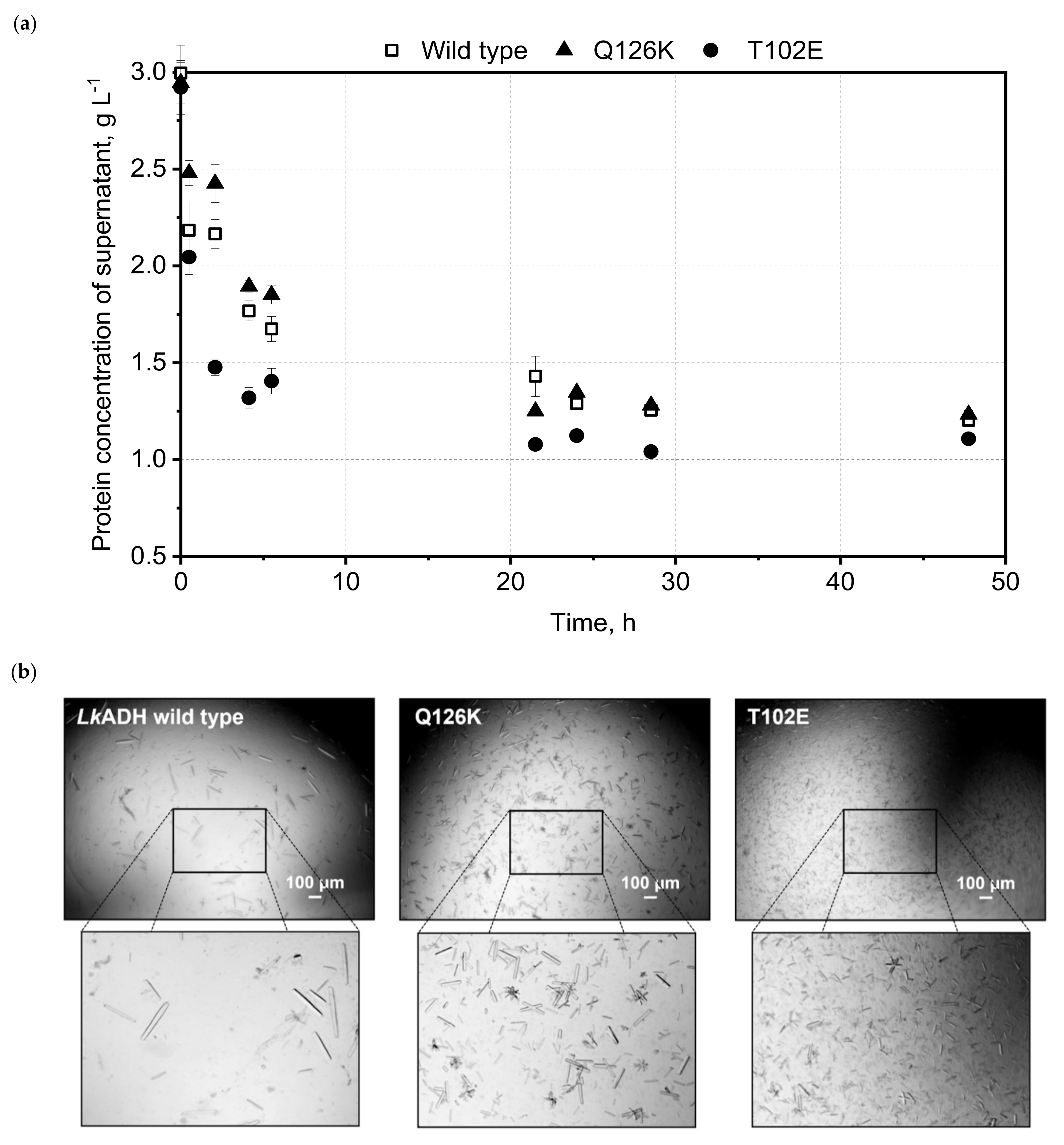 Crystals 11 00975 g003 Crystals 11 00975 g003