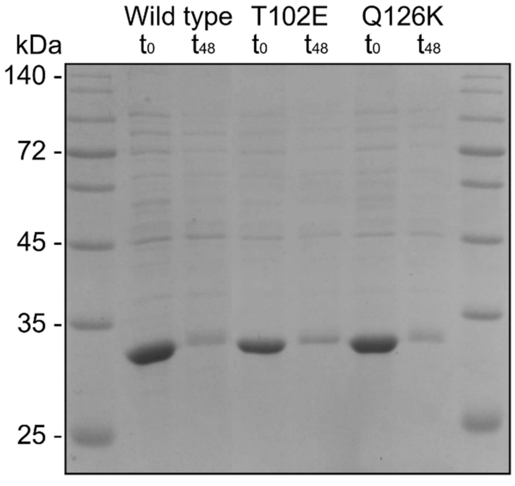 Crystals 11 00975 g004 Crystals 11 00975 g004