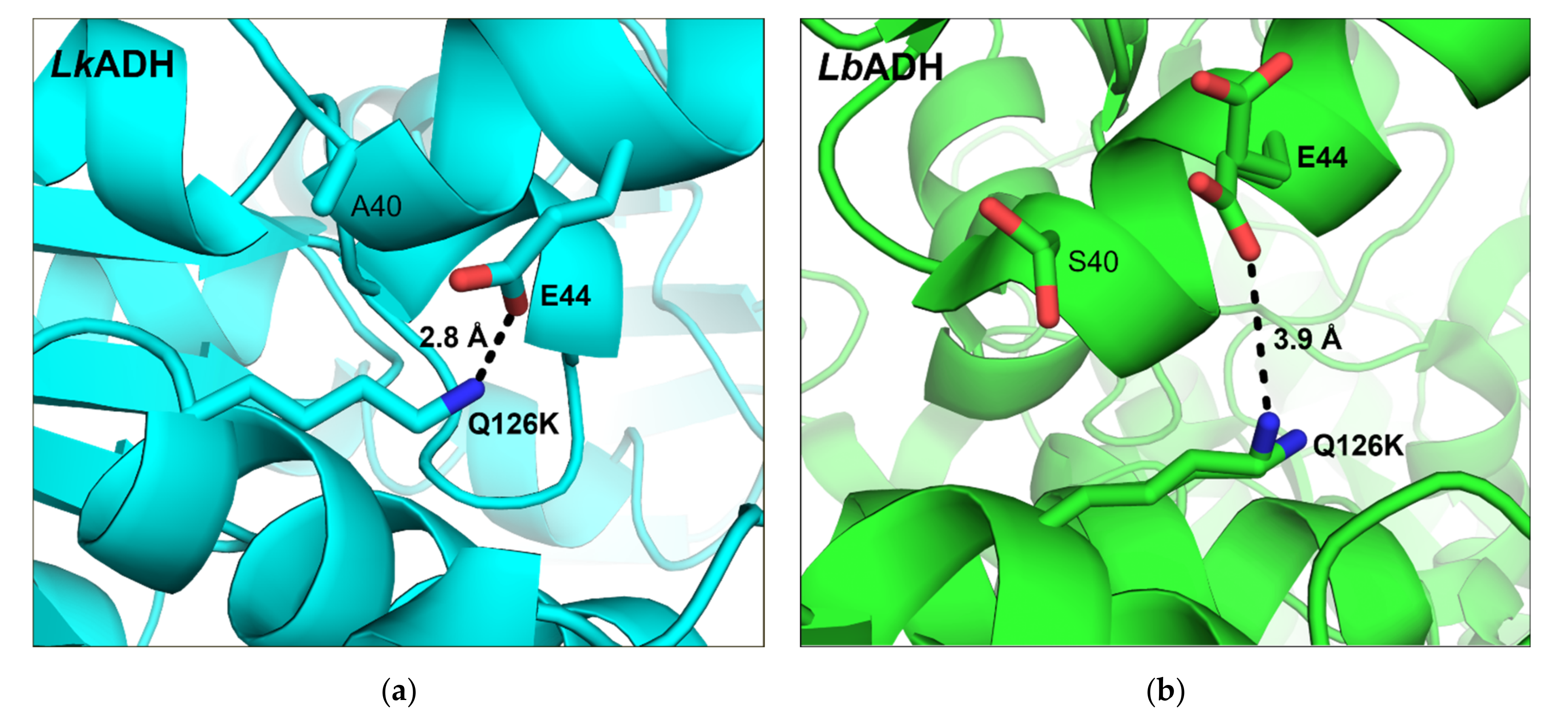 Crystals 11 00975 g007 Crystals 11 00975 g007