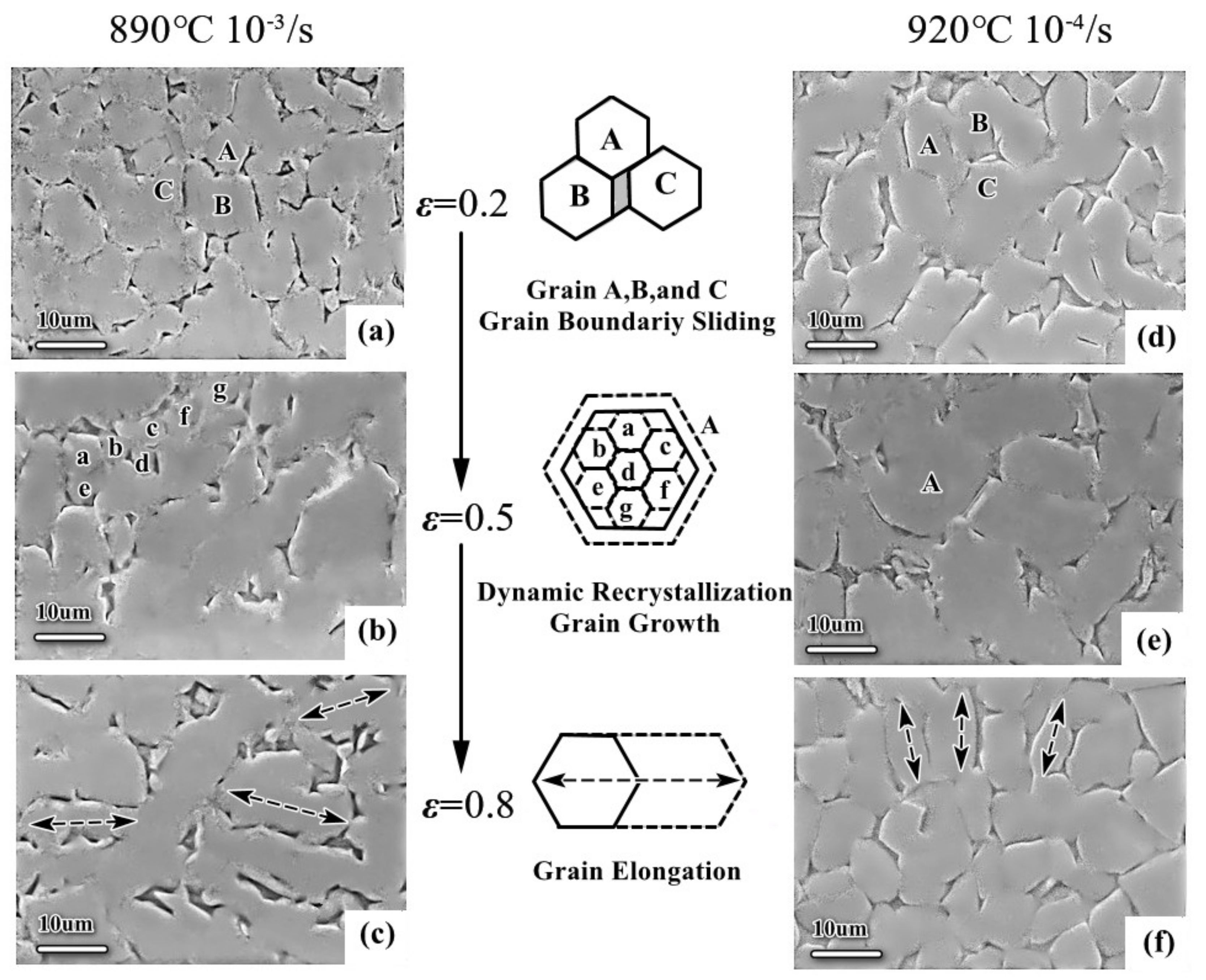 crystals free full text grain rotation accommodated gbs mechanism for the ti 6al 4v alloy during superplastic deformation html