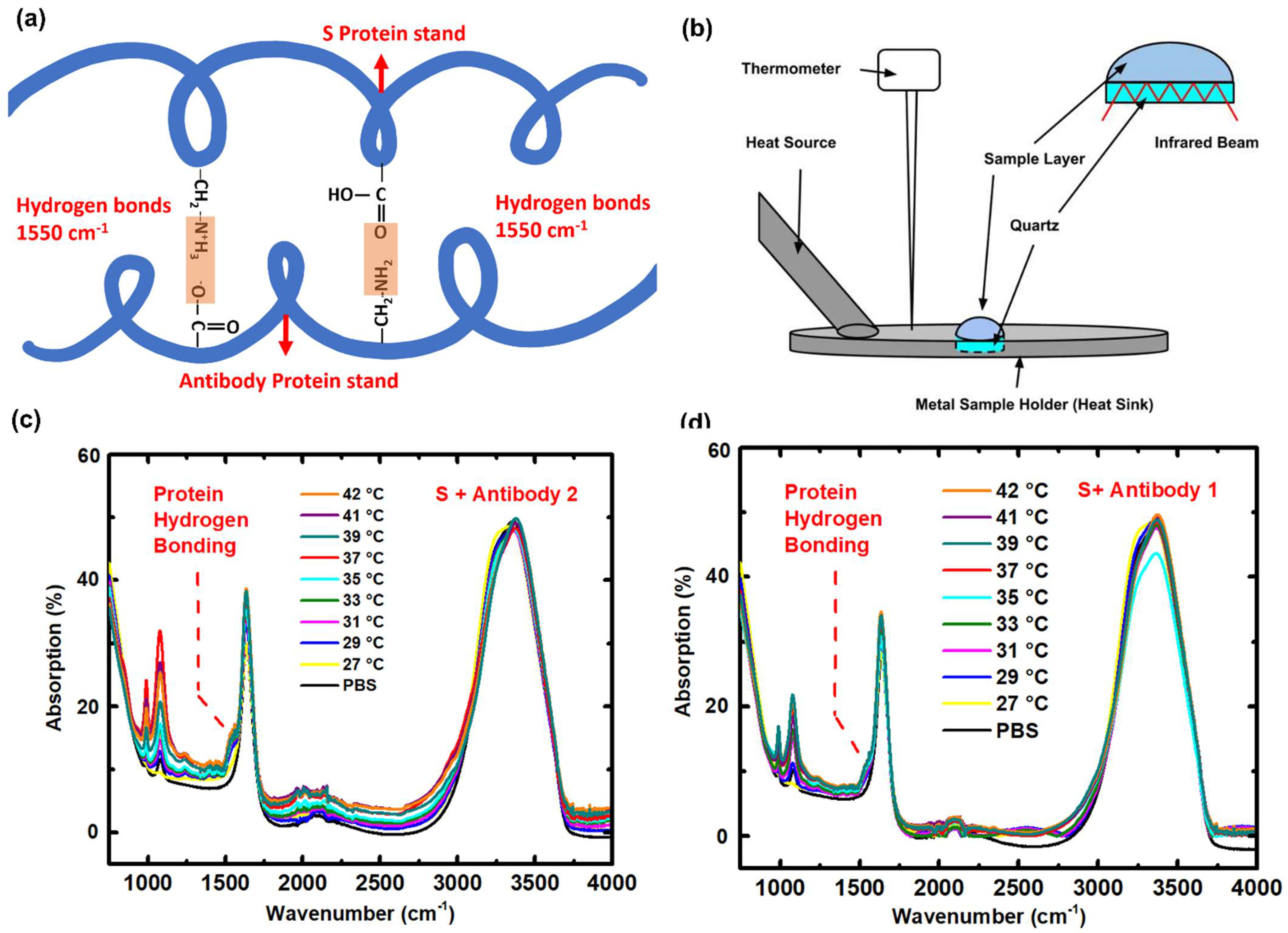 Crystals 11 00997 g001 Crystals 11 00997 g001