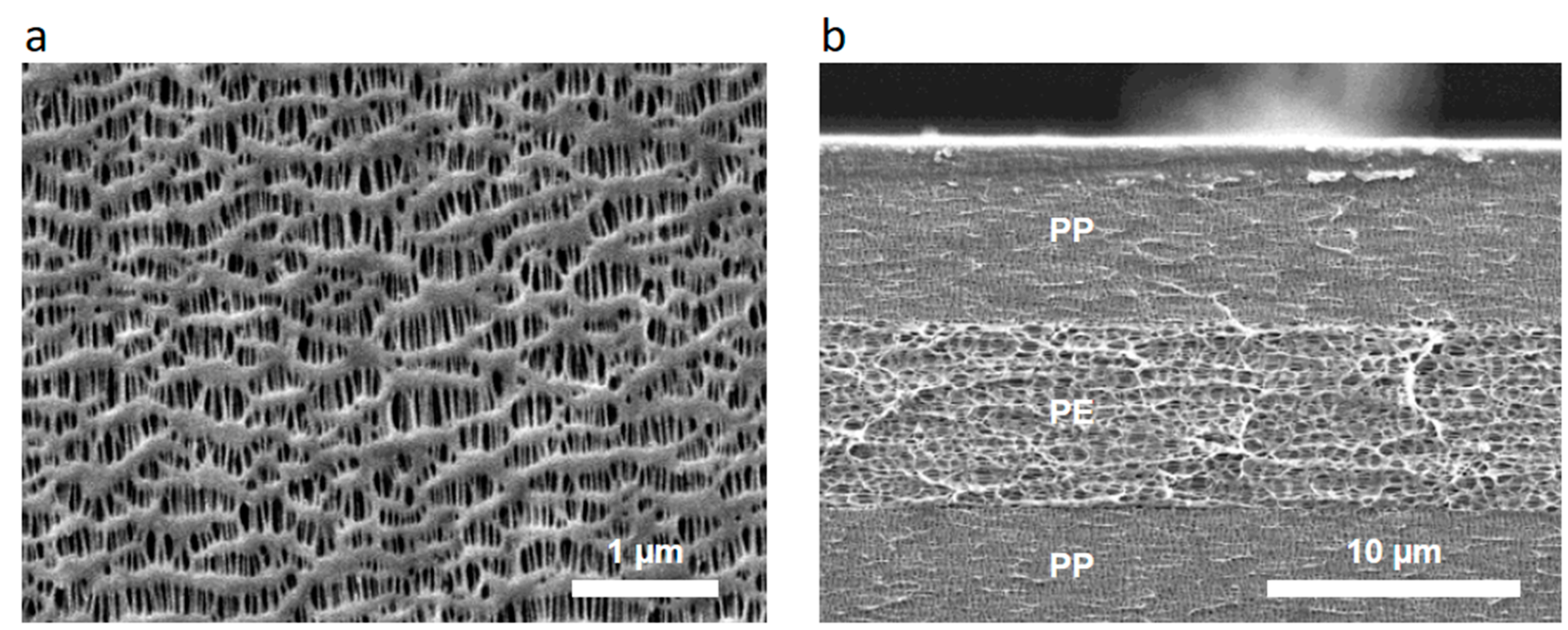 Crystals 11 01013 g007