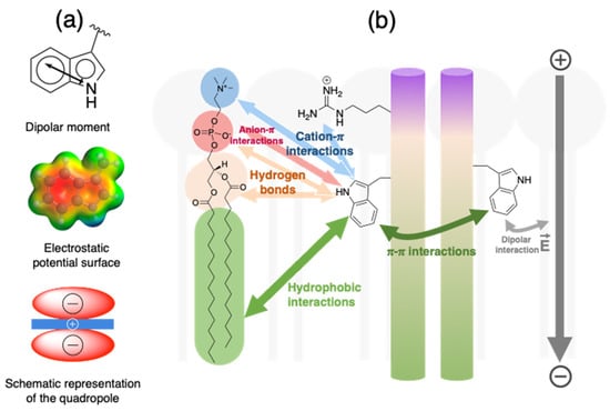 Side-chain hydrophobicity scale derived from transmembrane protein folding  into lipid bilayers