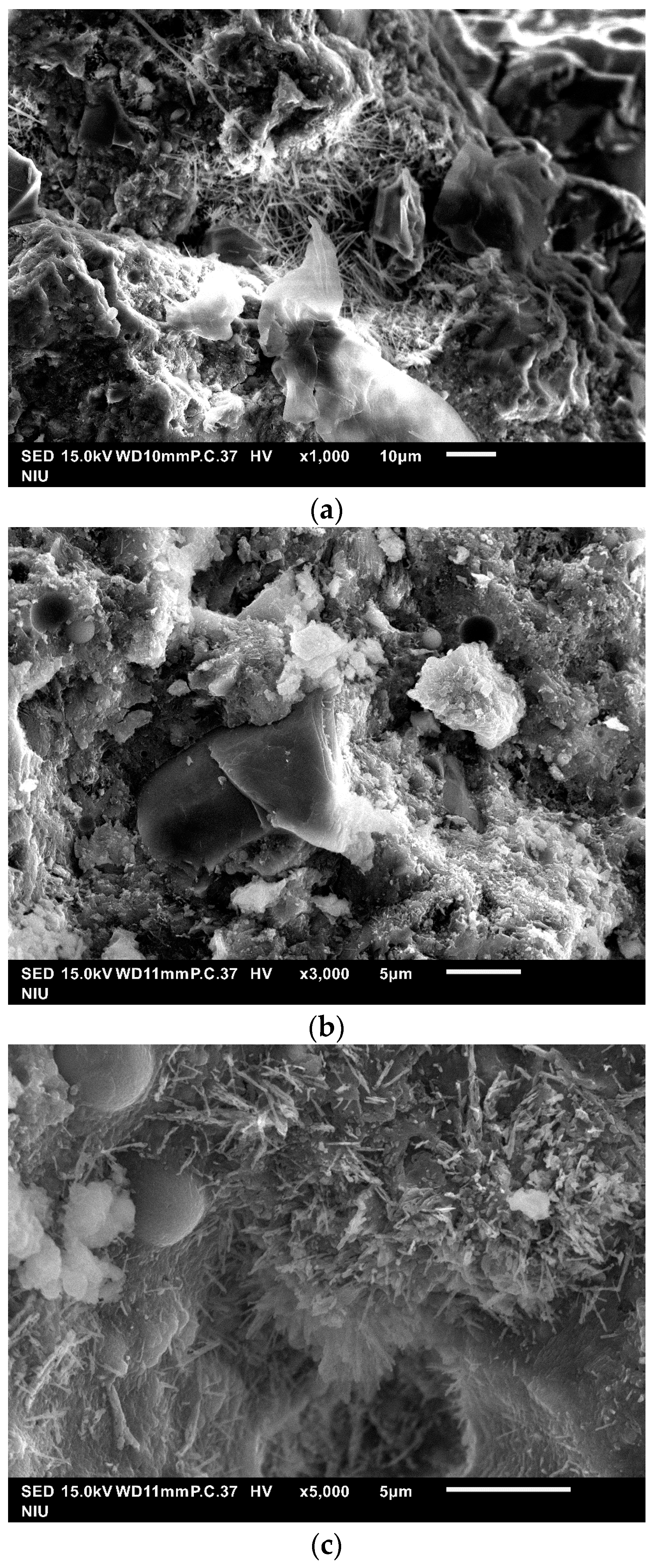 Crystals 11 01040 g012