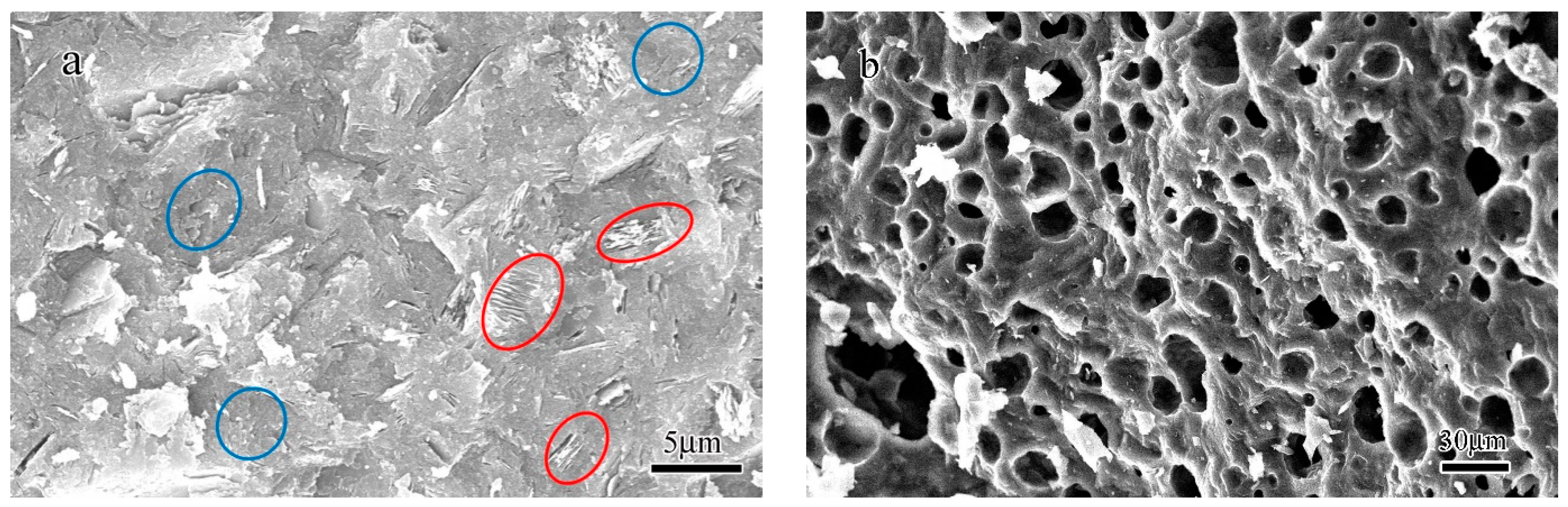 Crystals 11 01062 g003a