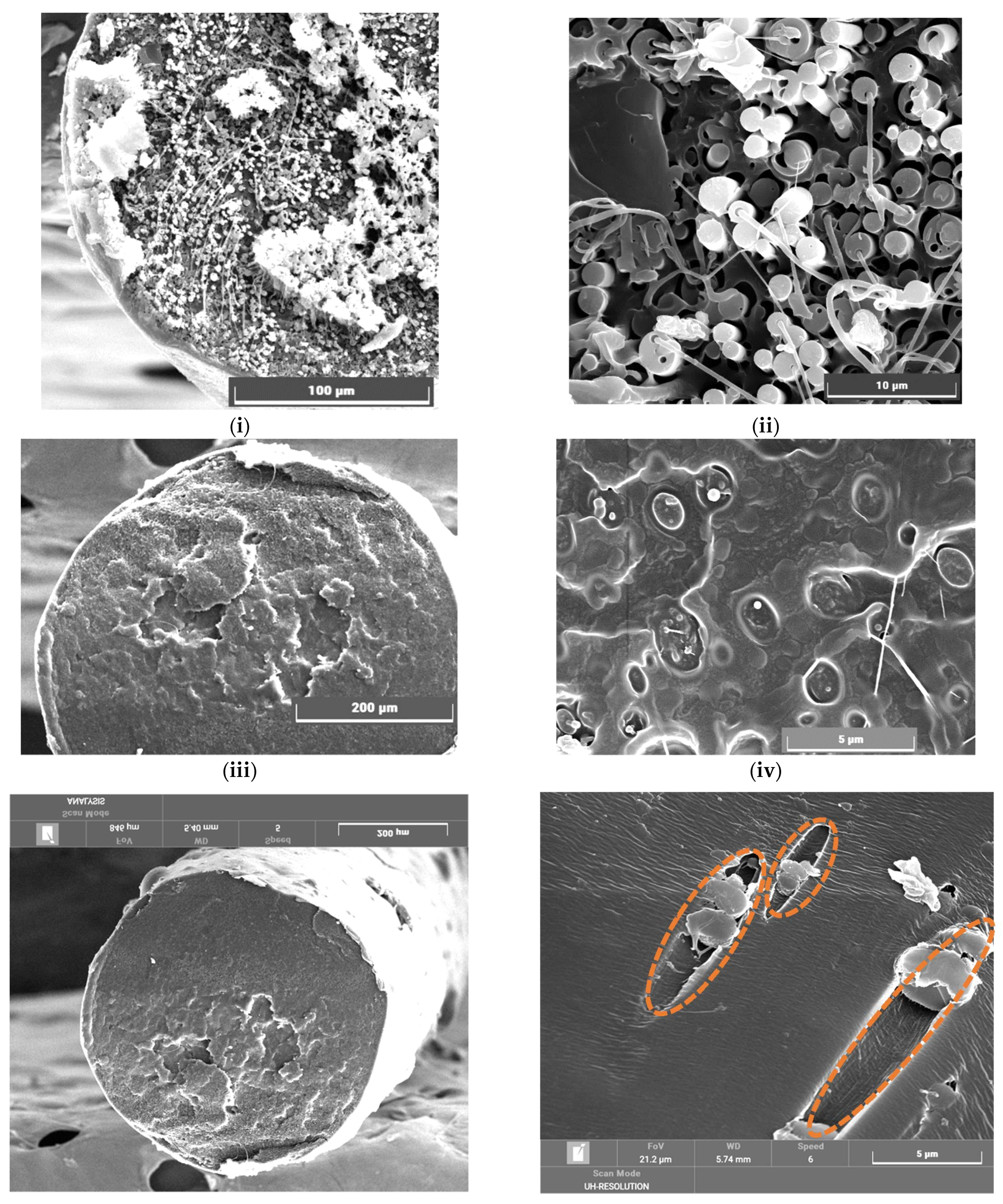 Crystals 11 01099 g004a