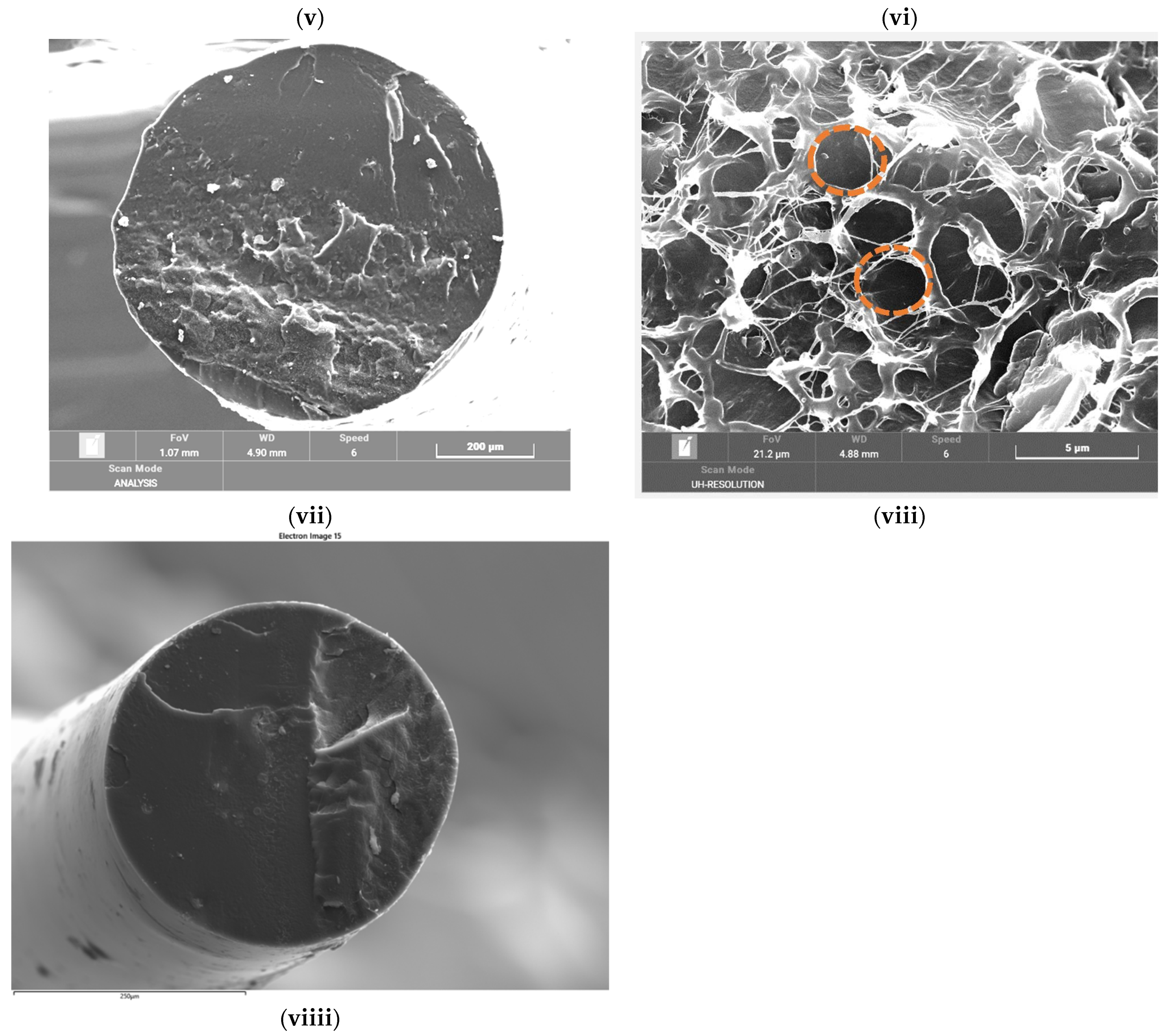 Crystals 11 01099 g004b