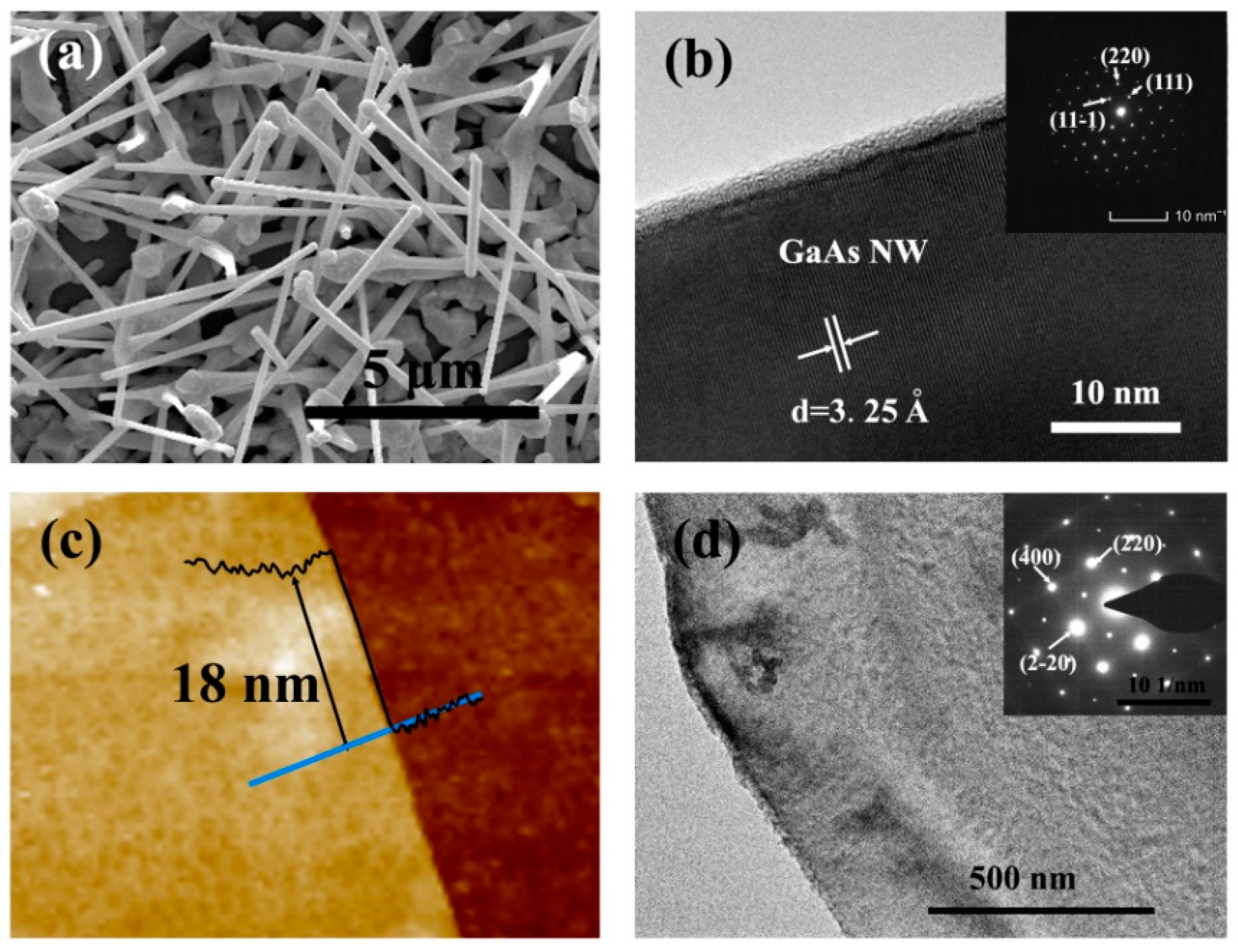 SEM images of (a−d) GAC-900, and (e,f) Pd@GAC nanocomposite